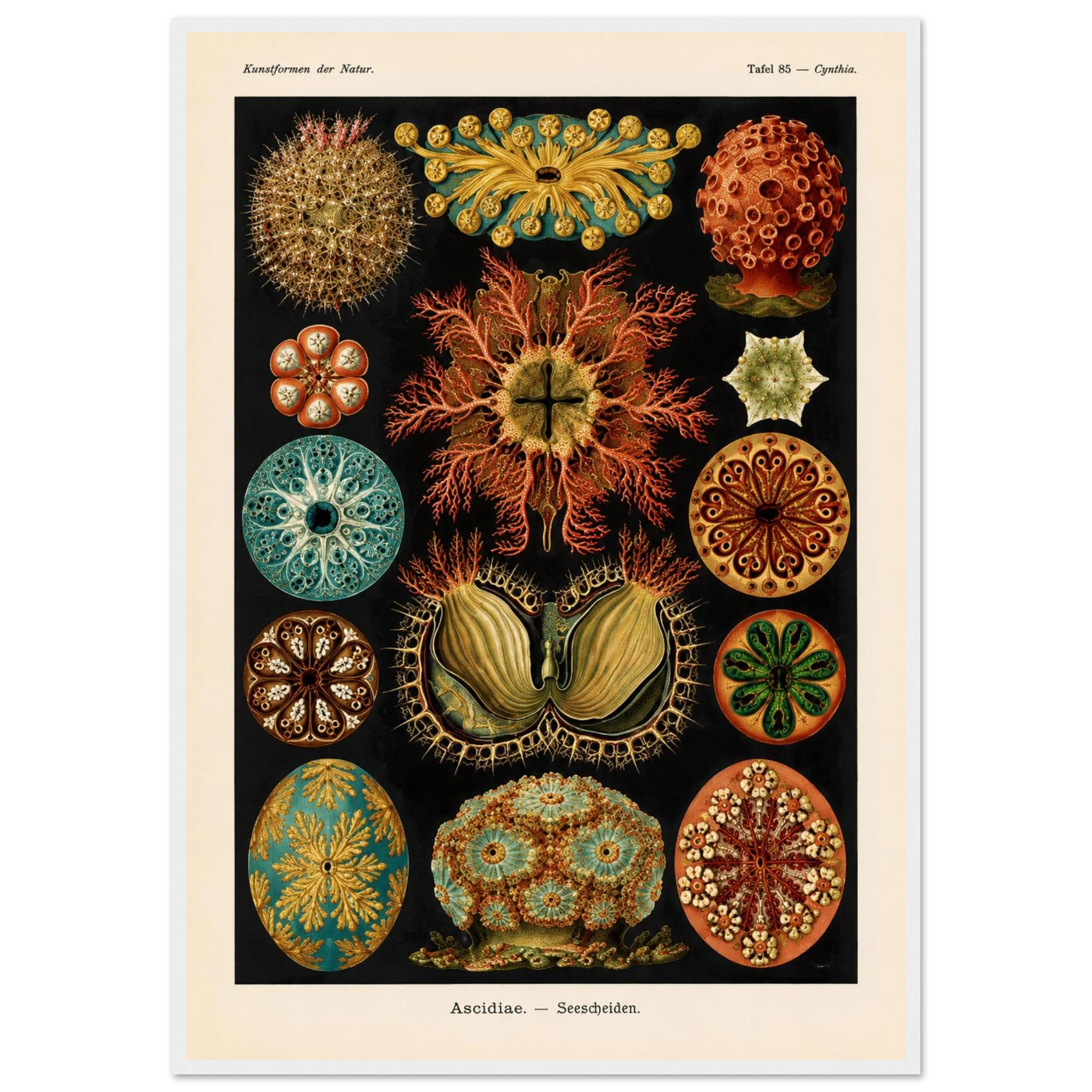 00494b02-4f09-4e38-8e58-f7b6792cae5b