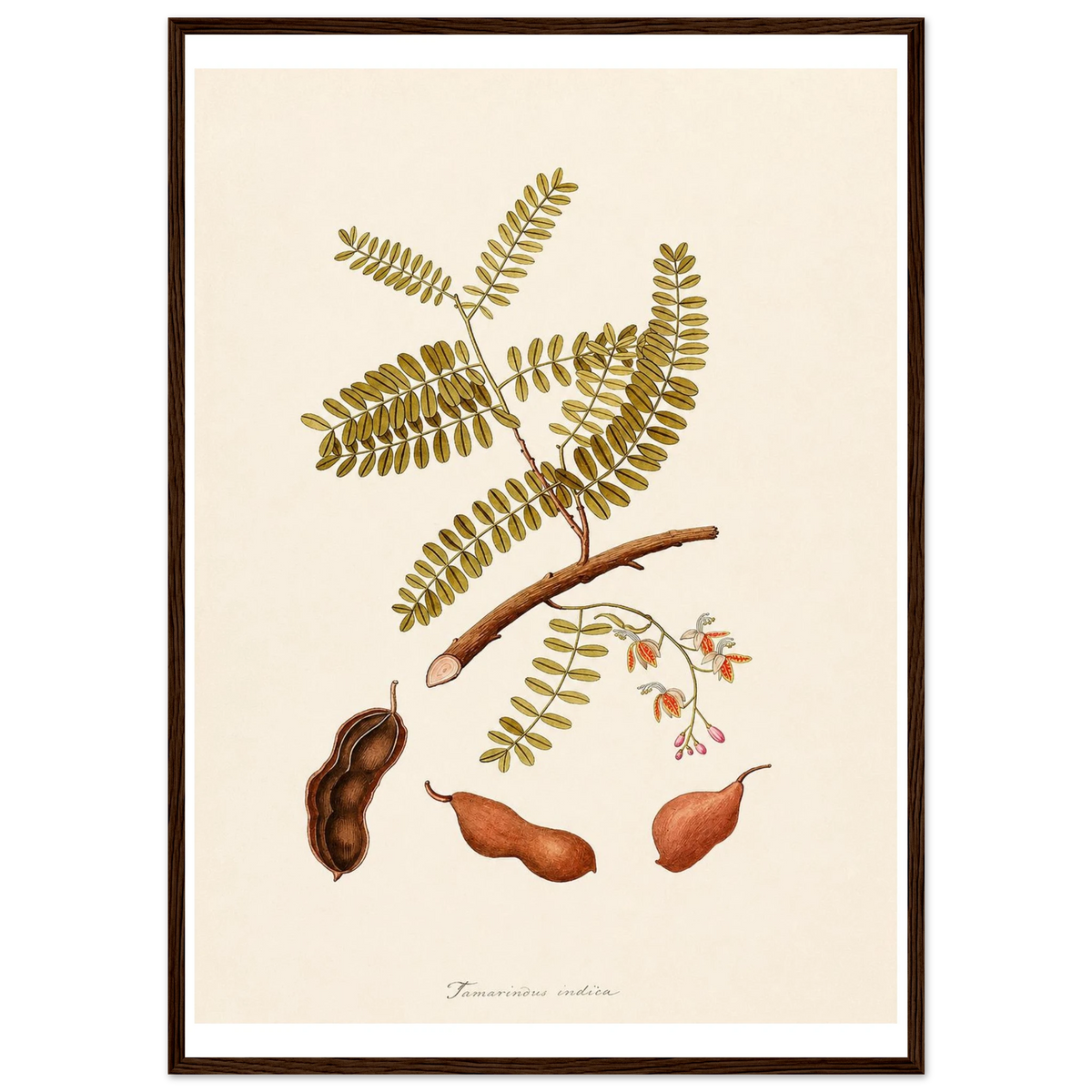 0059f9e8-4ccd-4aef-9ec3-7590e5d4ee4b