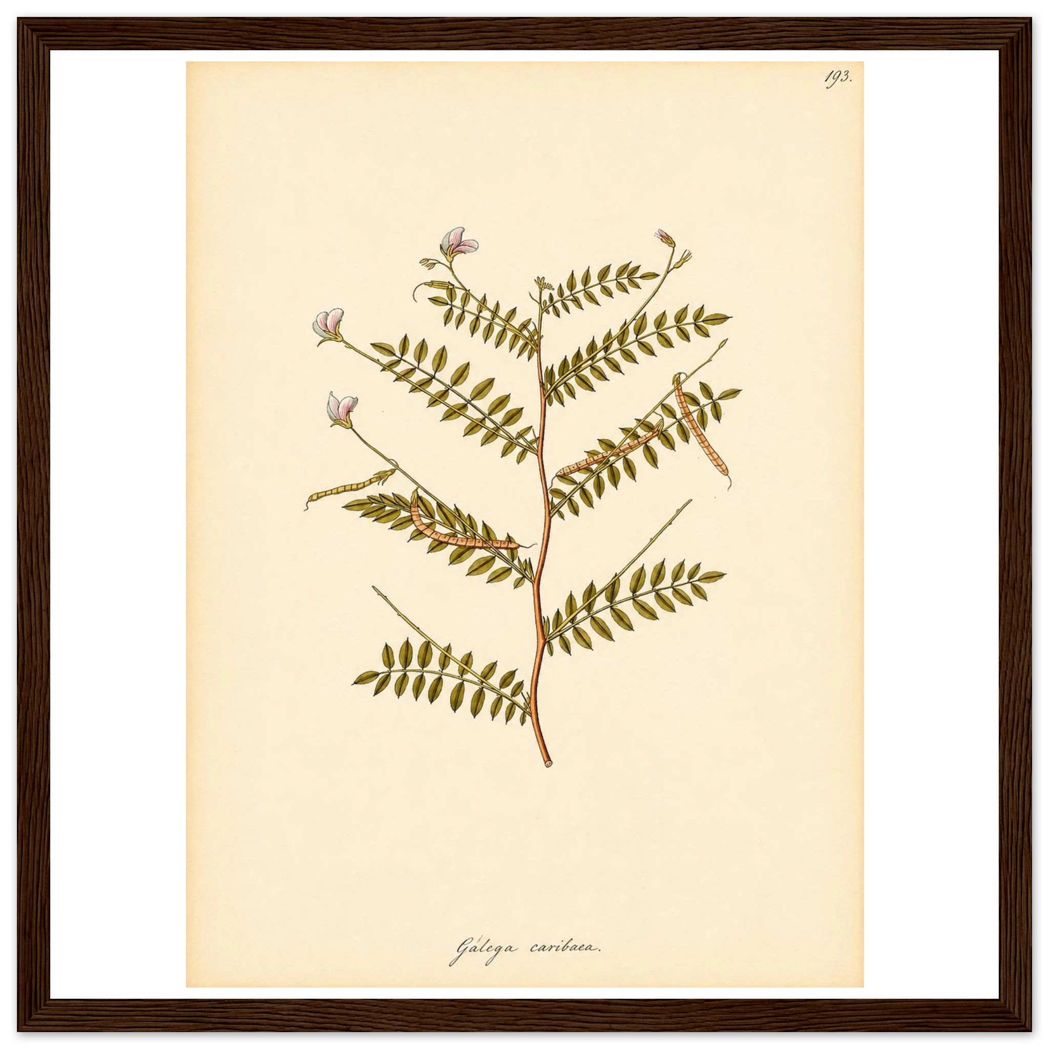 0094bd69-55b1-48d9-90fc-be73fc107dd5
