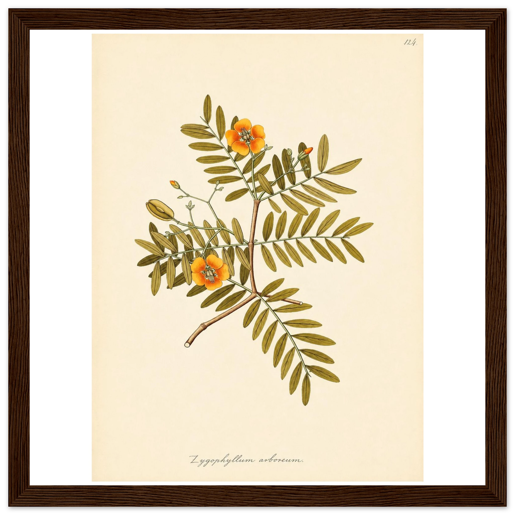 00c5ed34-844e-49ee-ac0a-3da68edc503e