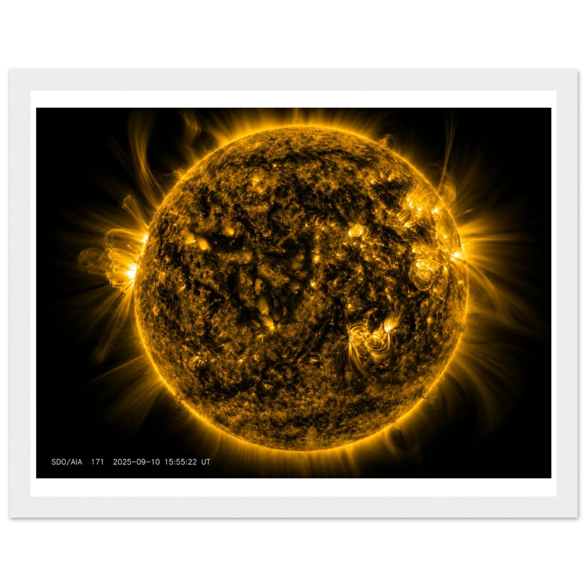 00fb6540-ee24-431c-9c67-9214678f9b7a