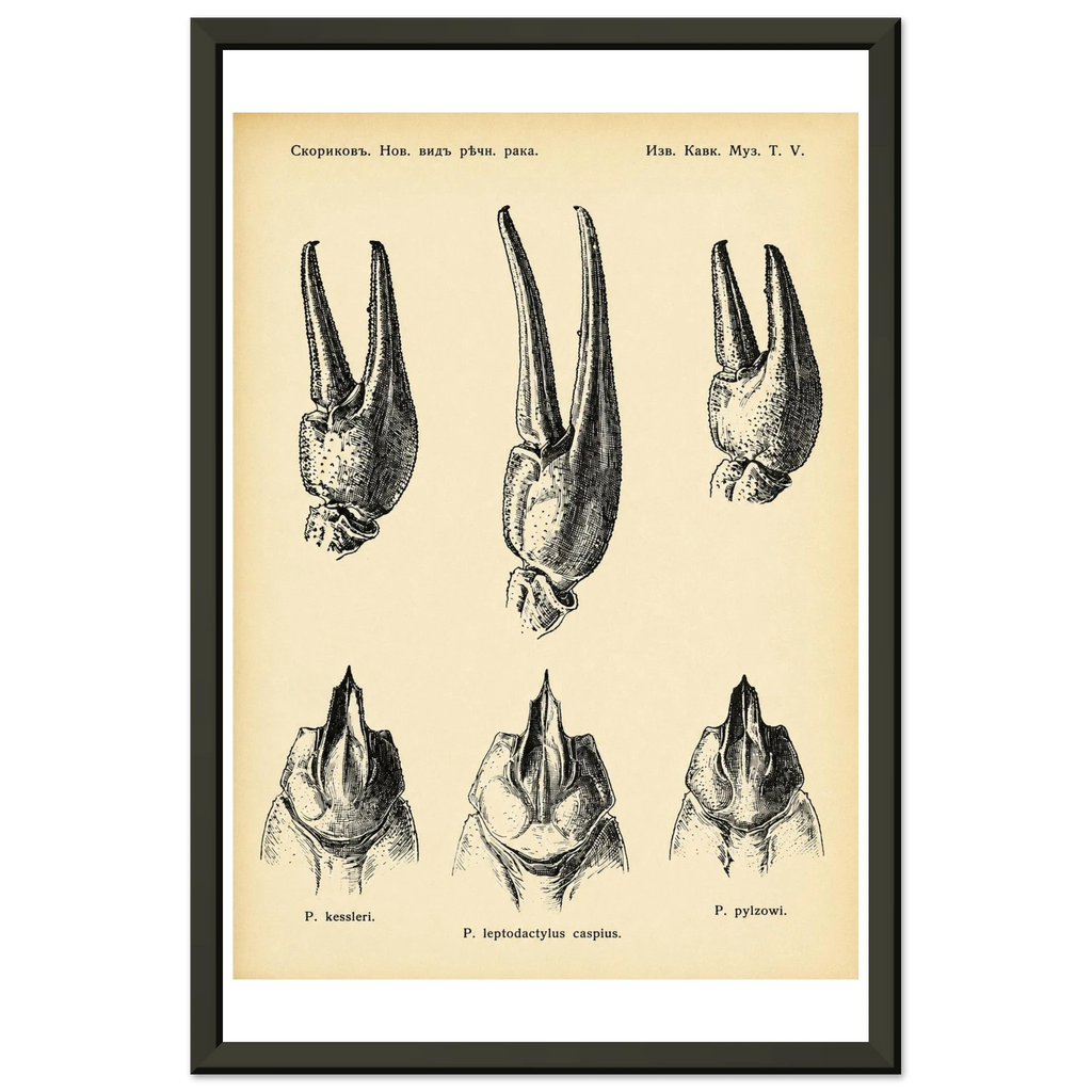 01409461-1306-4ac7-a3c9-5b7df18a3eb0