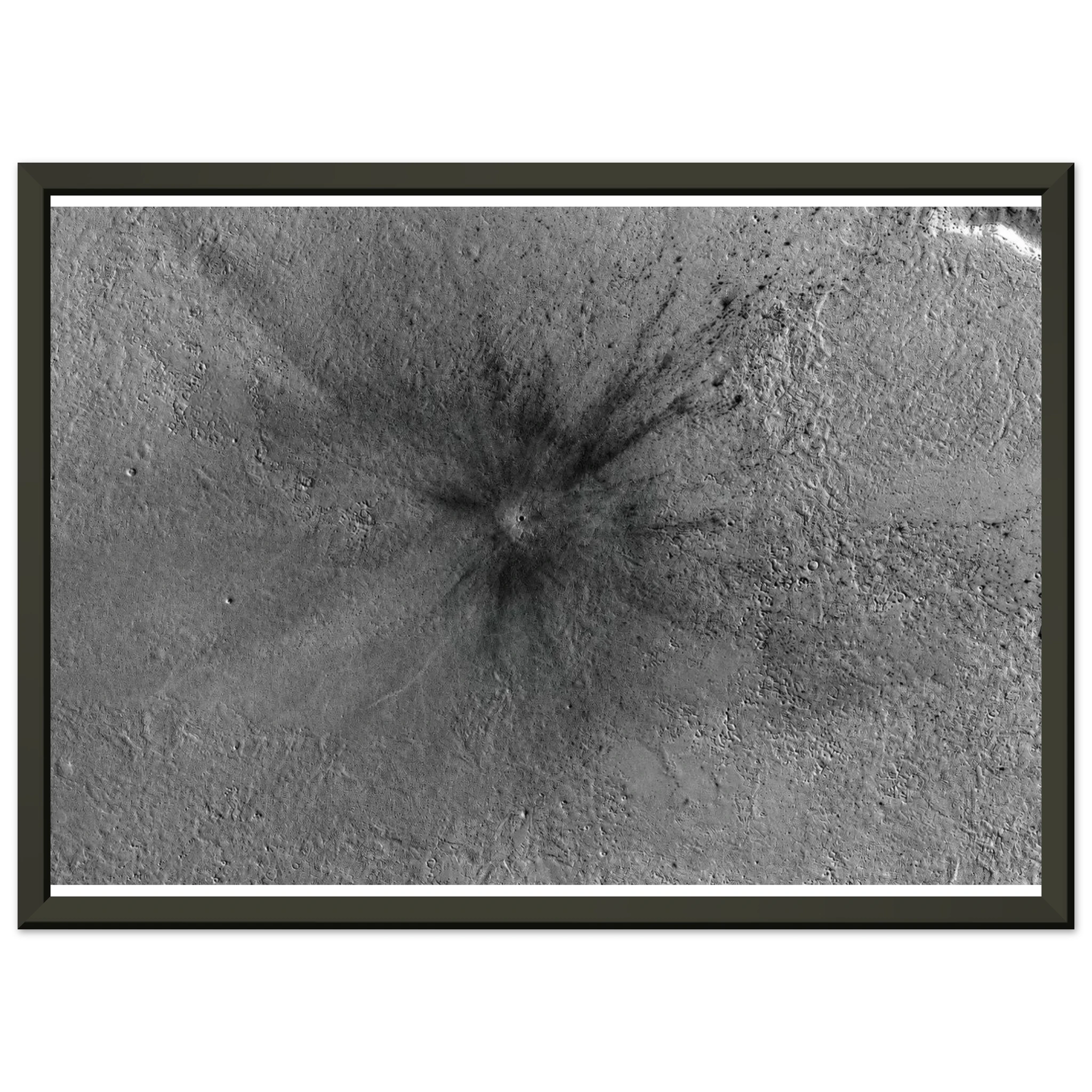 01a3960d-2551-44b6-a6ba-e293810572c4