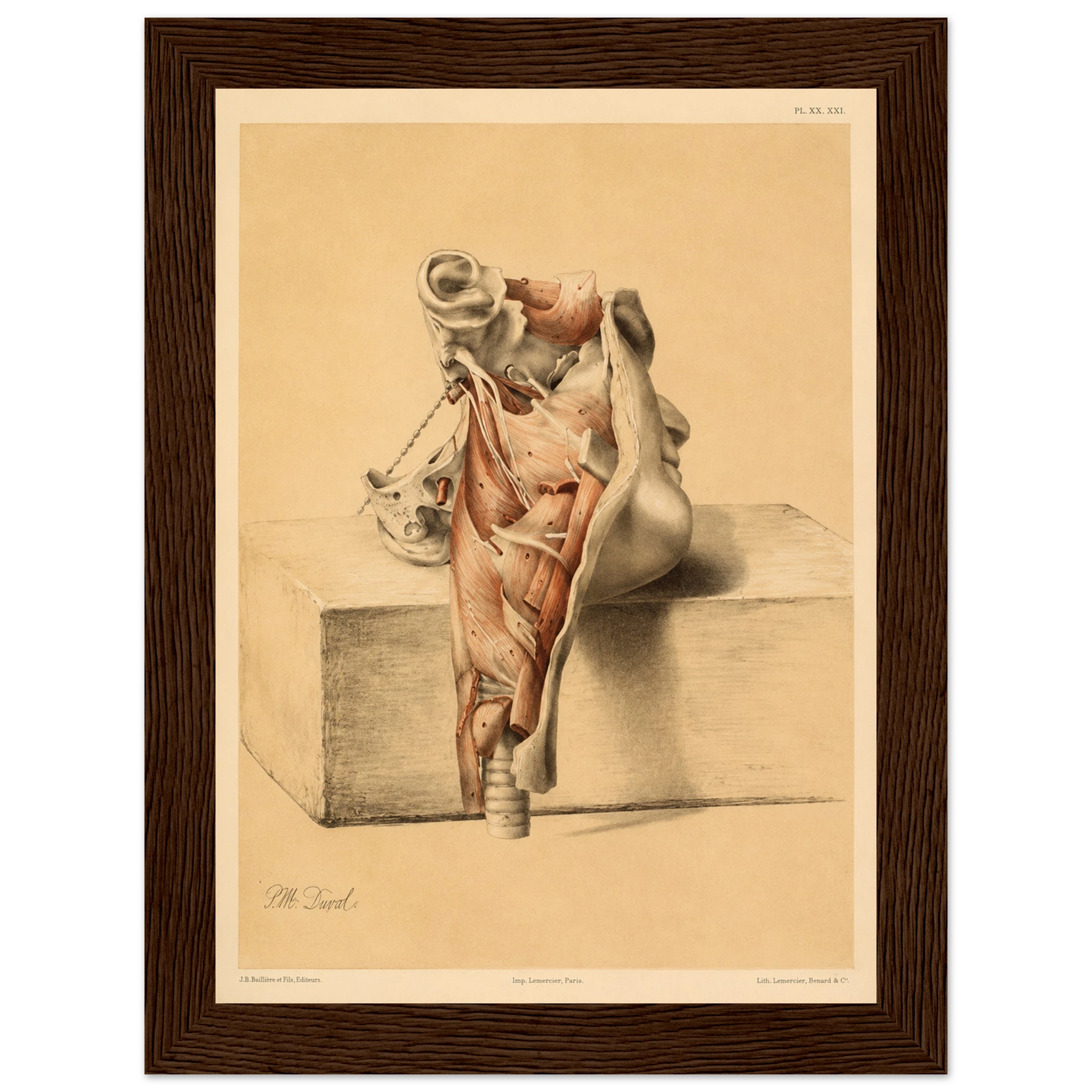 01bd5340-be25-4734-bdd9-74aee8d67271