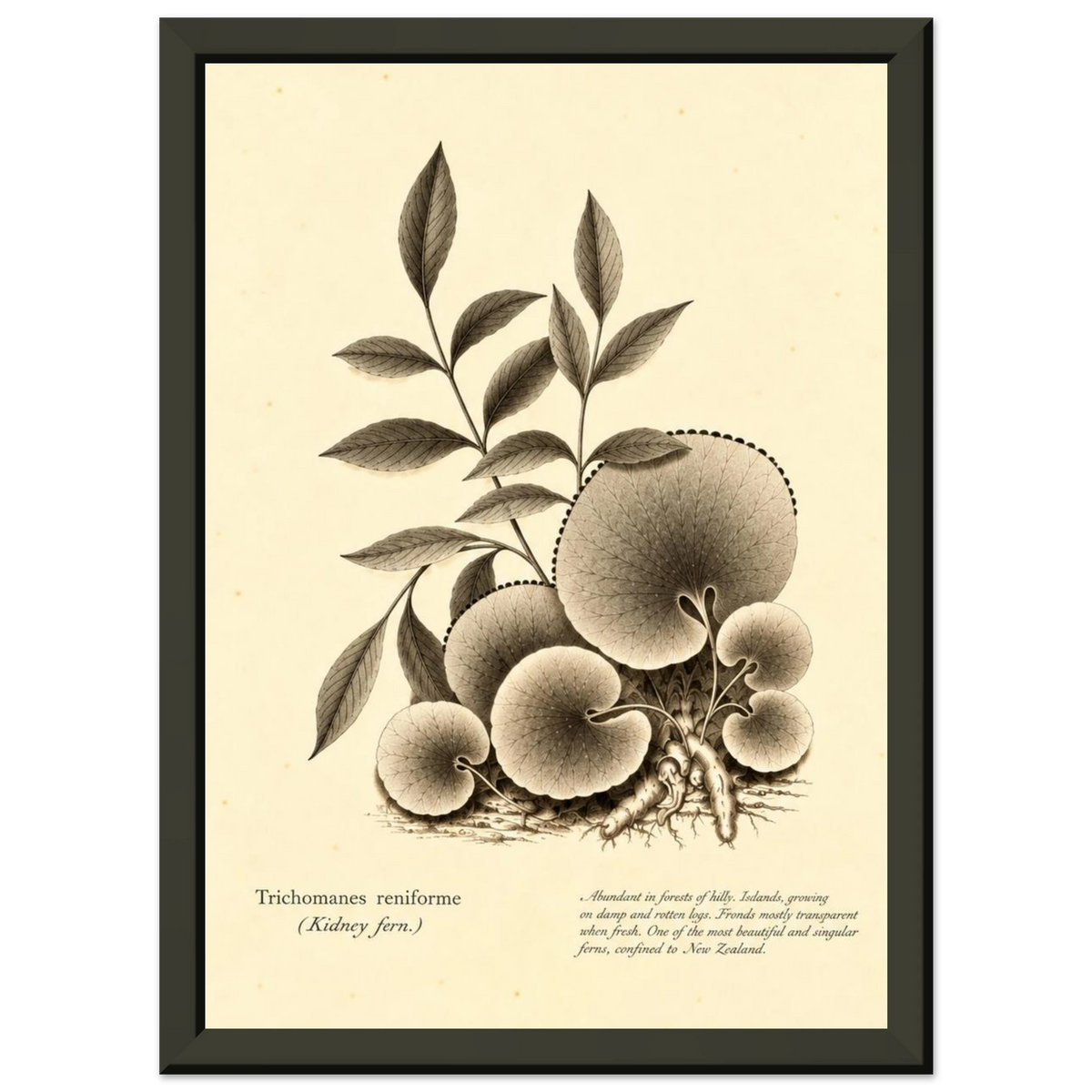 025adcd1-f1b3-4199-bdb8-e26d490b403d