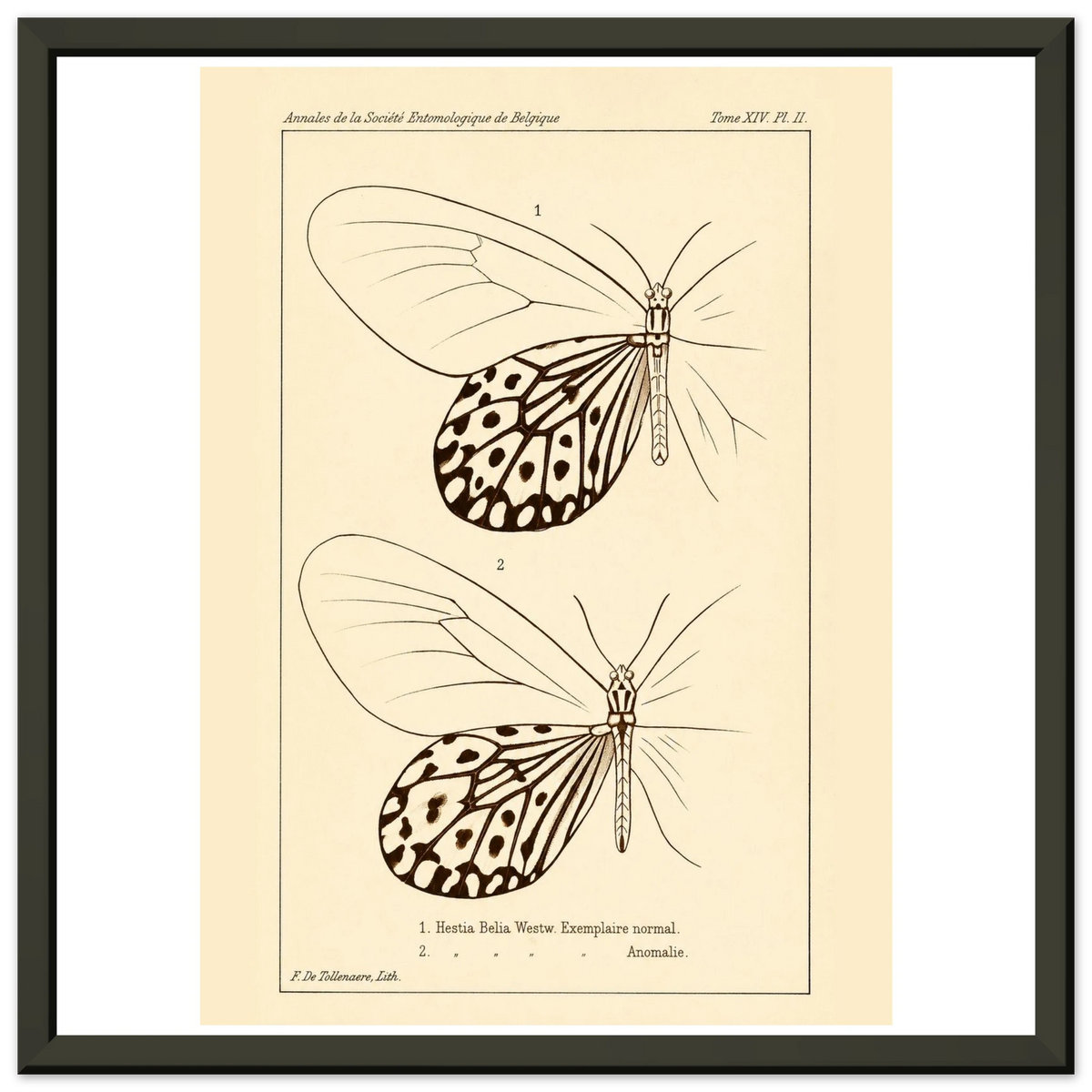027fccea-762c-4aa9-aad3-742d8a6b6ecb