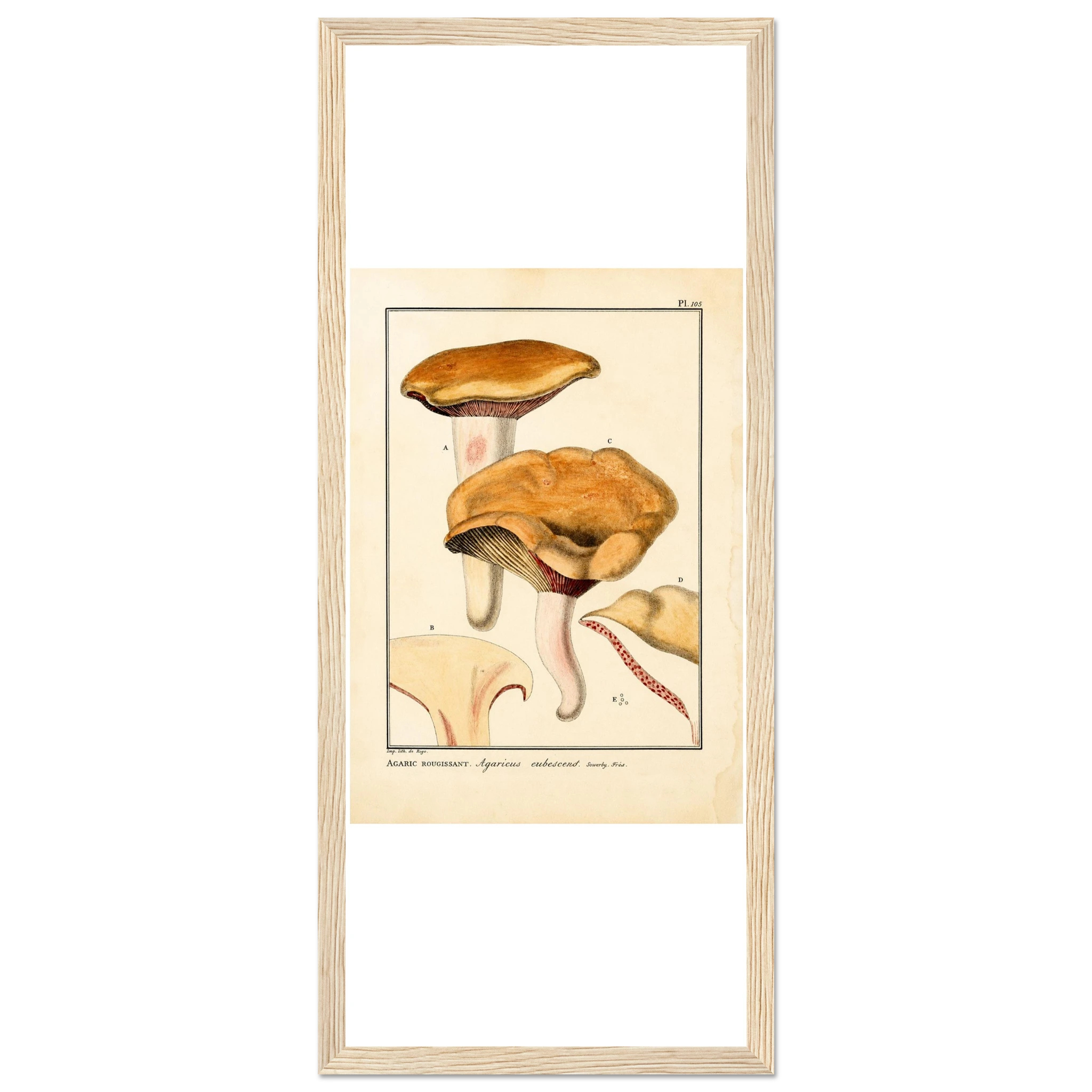 029b9ebc-b40c-4527-a227-3c5a8d0ebd63