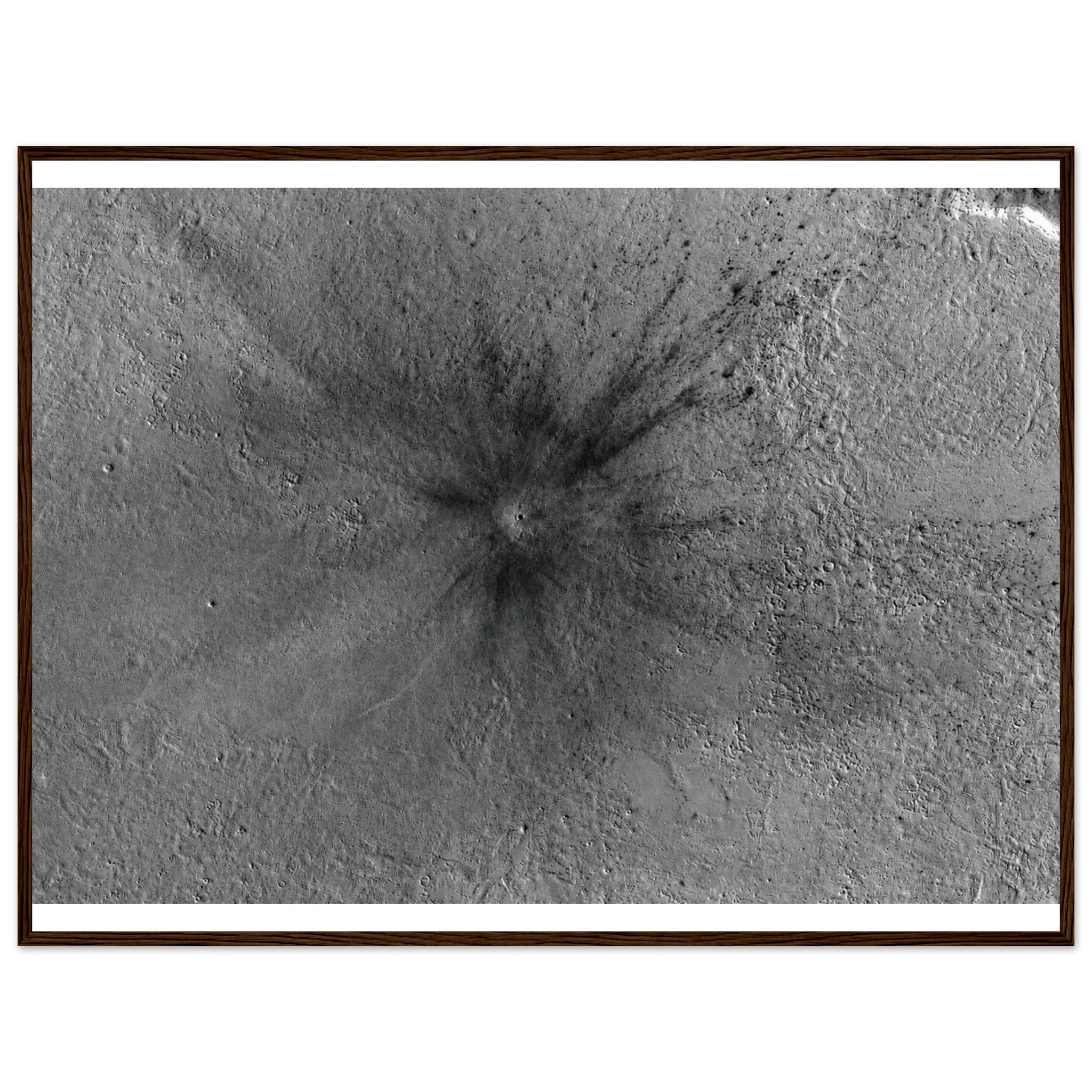 02f8083c-24e3-4a7f-94d3-078676fa2bce
