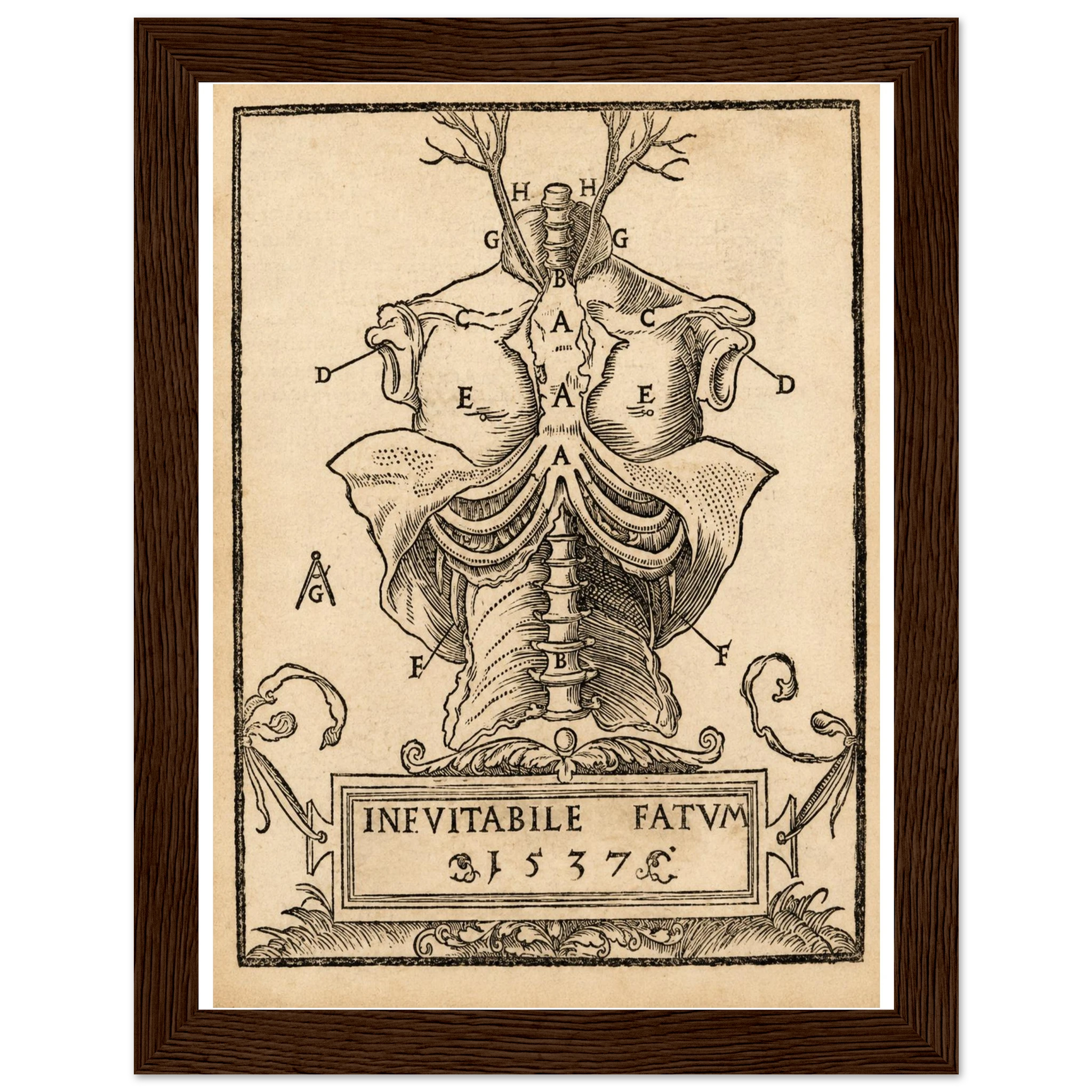 02ff1fa4-f008-4e44-bdf9-3bd9e40deffc