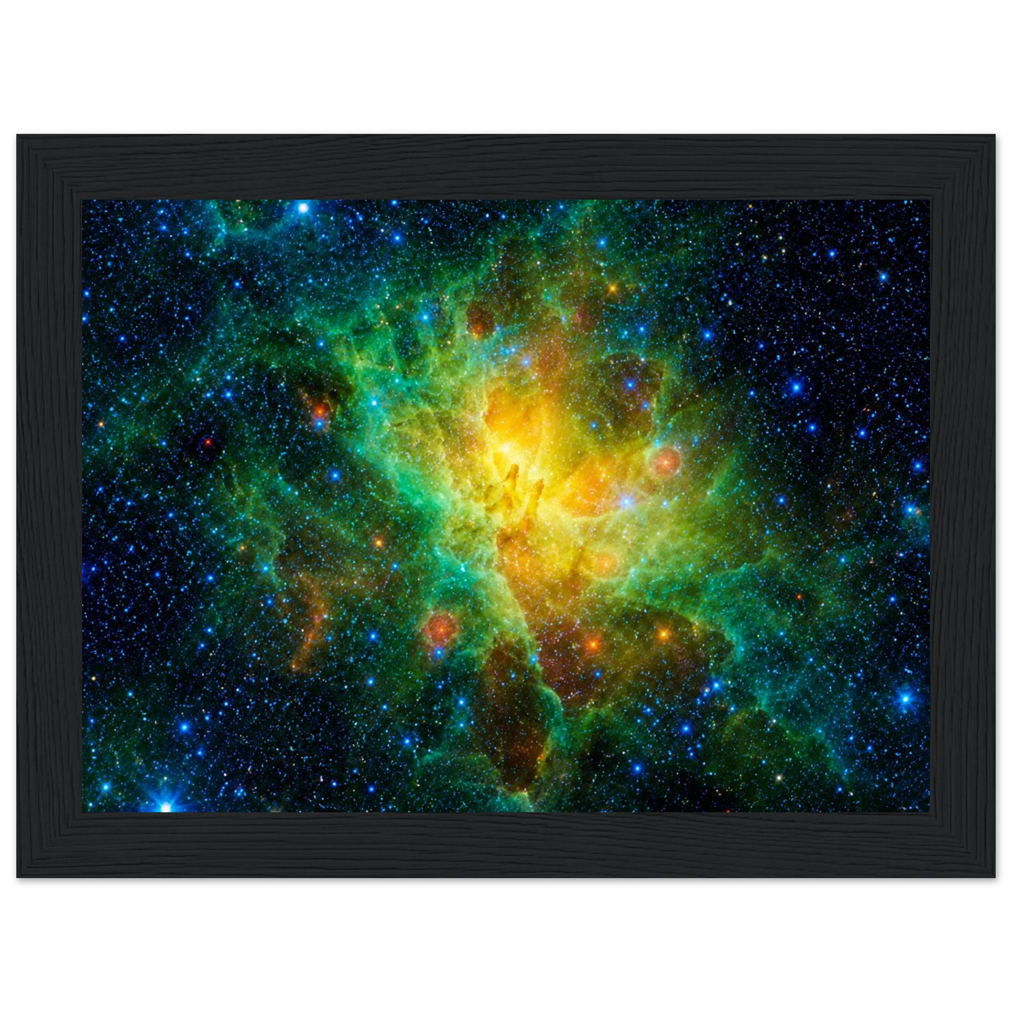 036b5aff-b500-403d-8c67-0138e29524e3