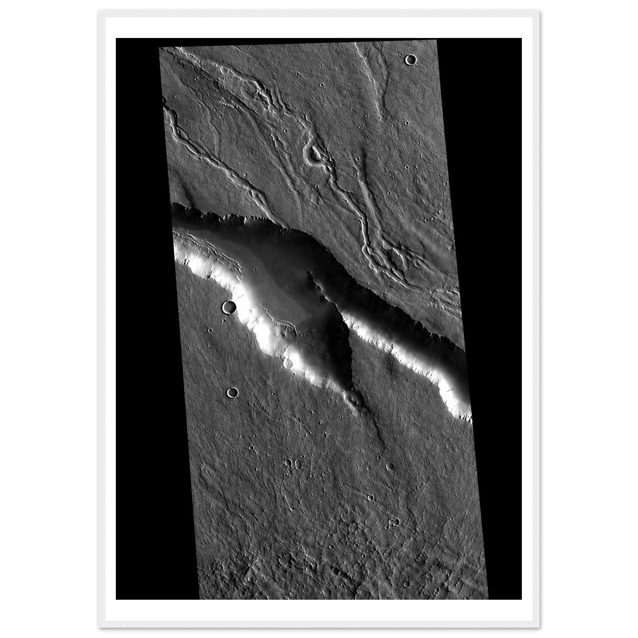 03ac6453-55c9-49f2-a381-ac33206d276c