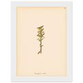 03b3acdb-ff15-4d74-a565-752fe8e01647