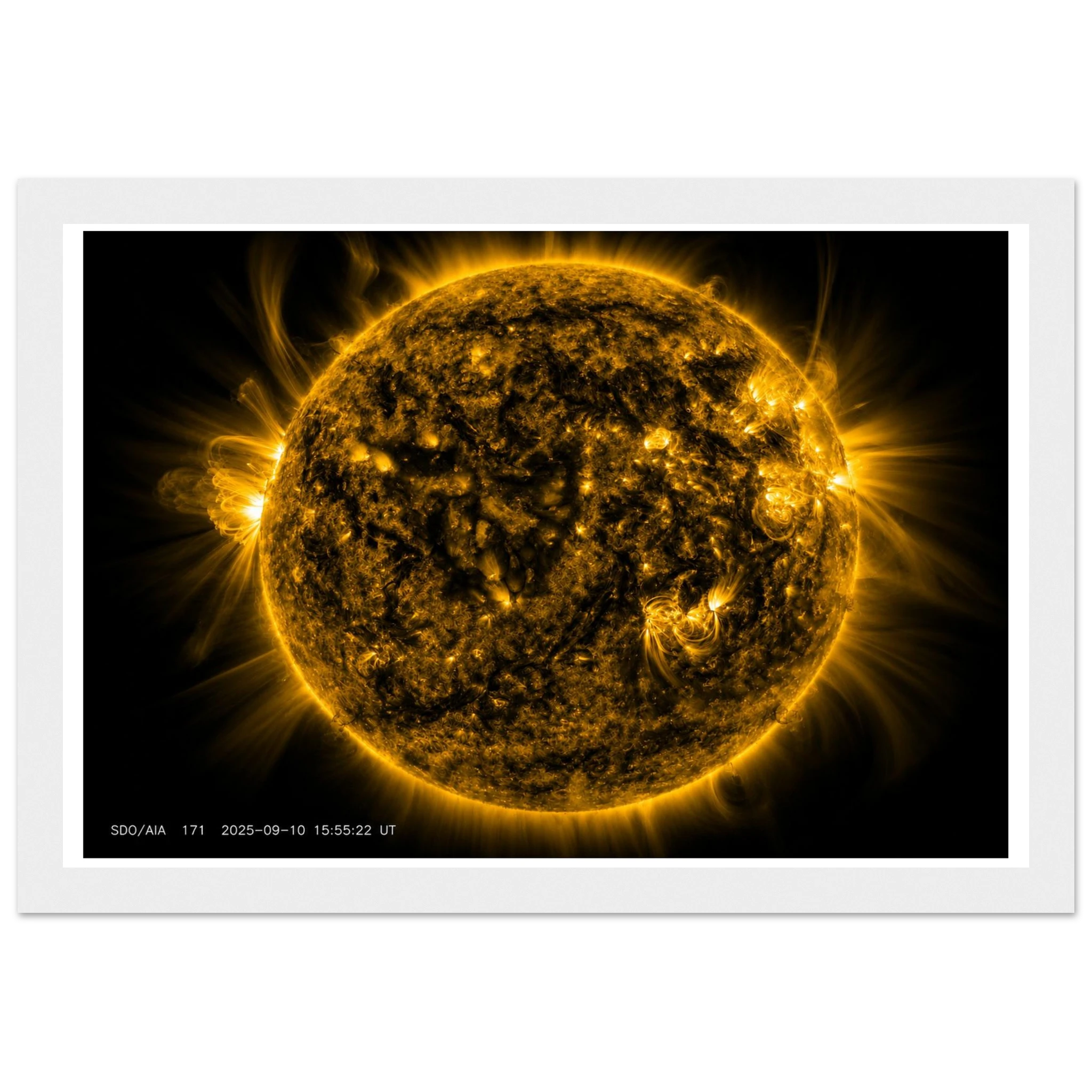 03c99031-1b5f-4885-9e30-1eed6d133af1
