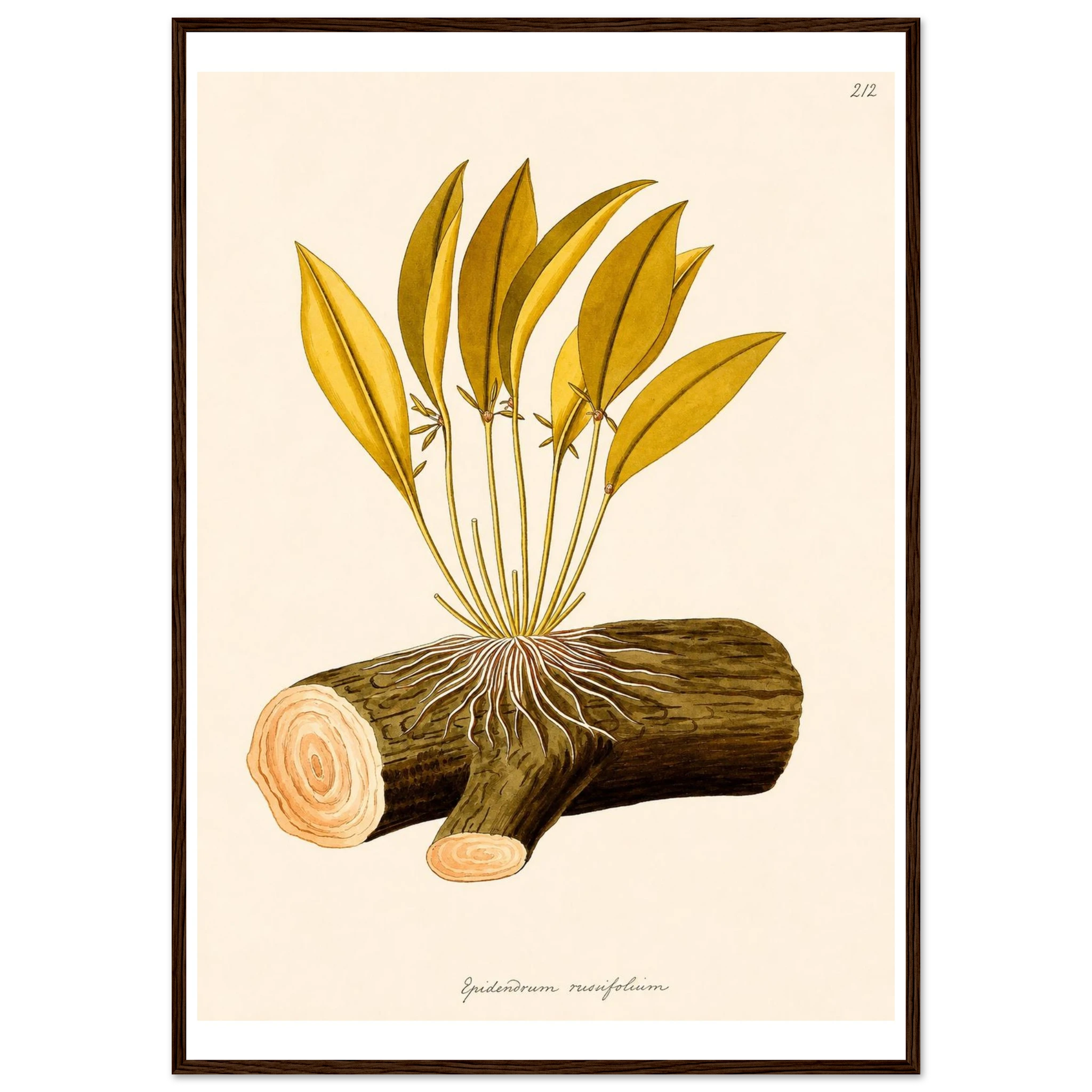 044d8320-1cad-4811-a7ab-6a70e6332e5e