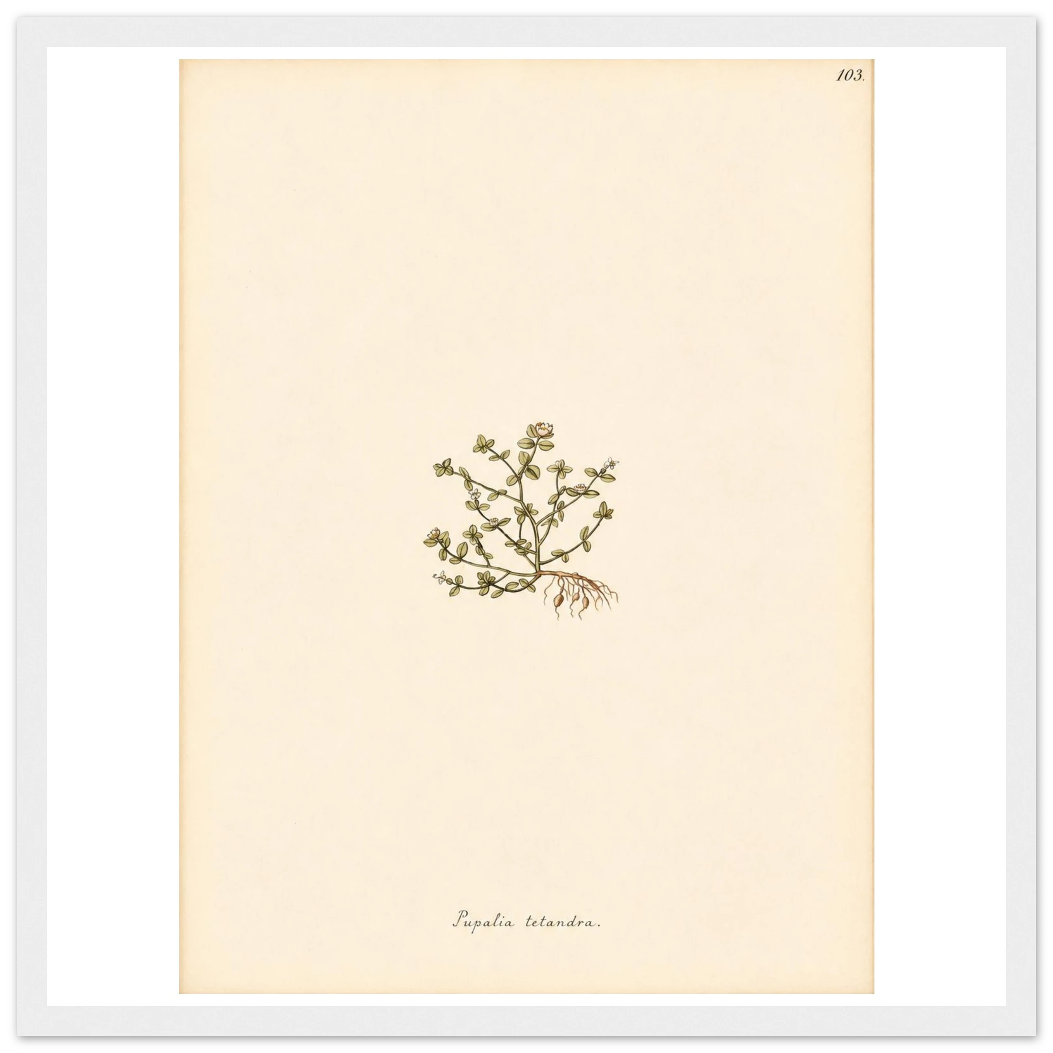 0492fcba-23c3-4b50-a78d-bed10a9274b5