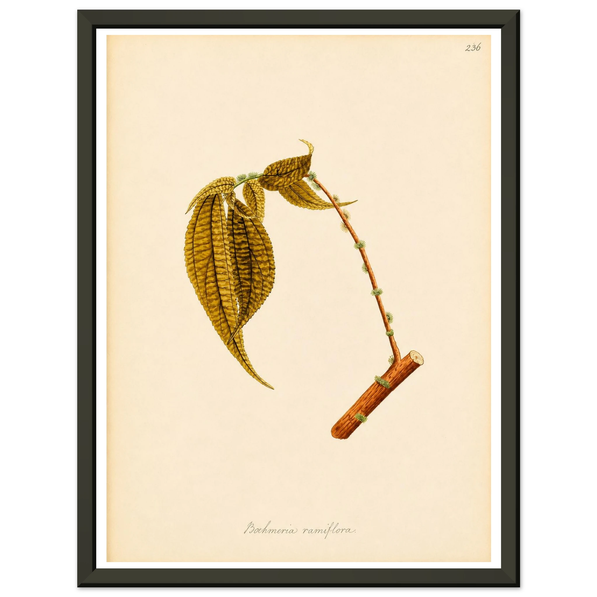 0495b39b-9370-43f8-9ff4-46719515c2d2