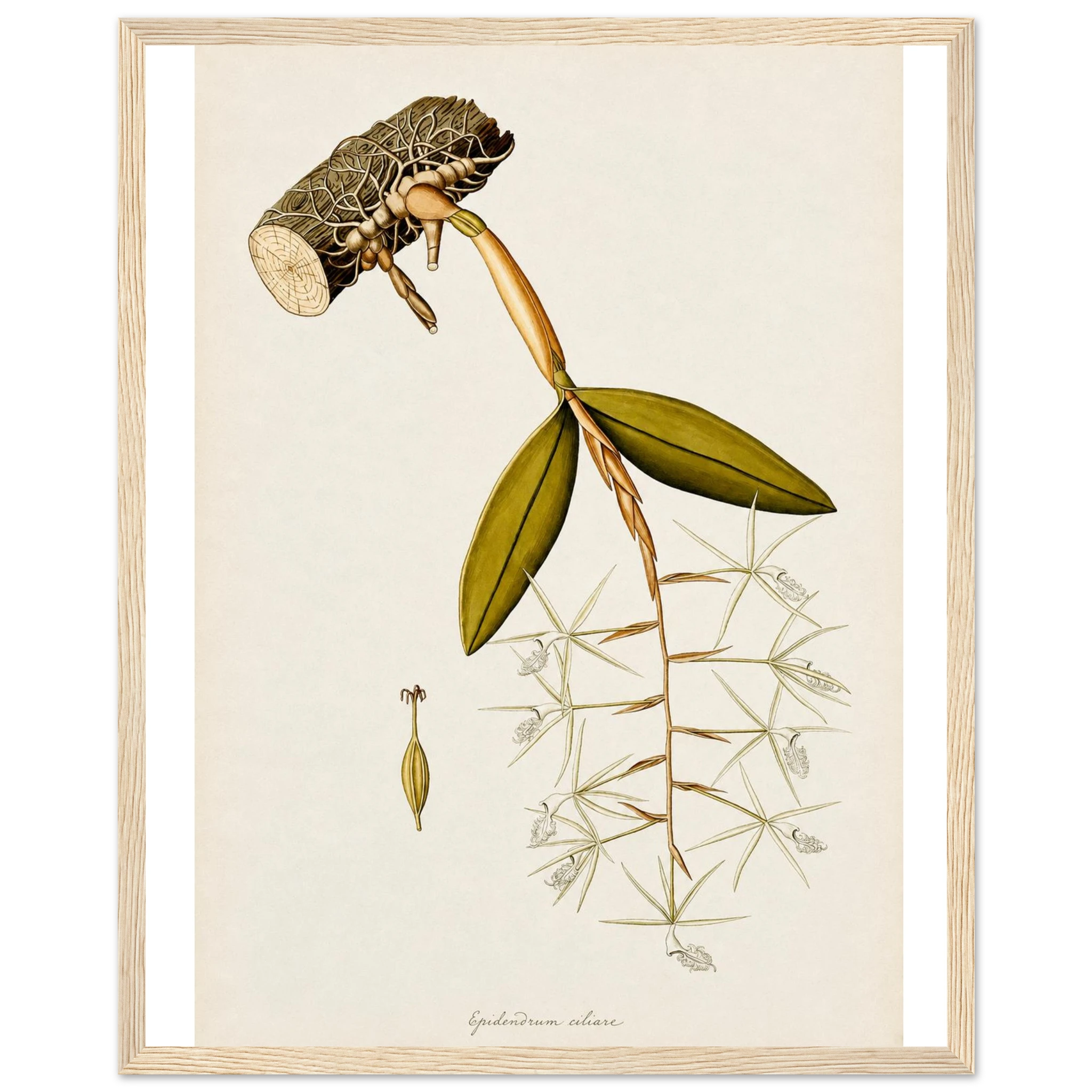 049e5dbe-dc1c-42d6-b3f8-78d03bd7692b