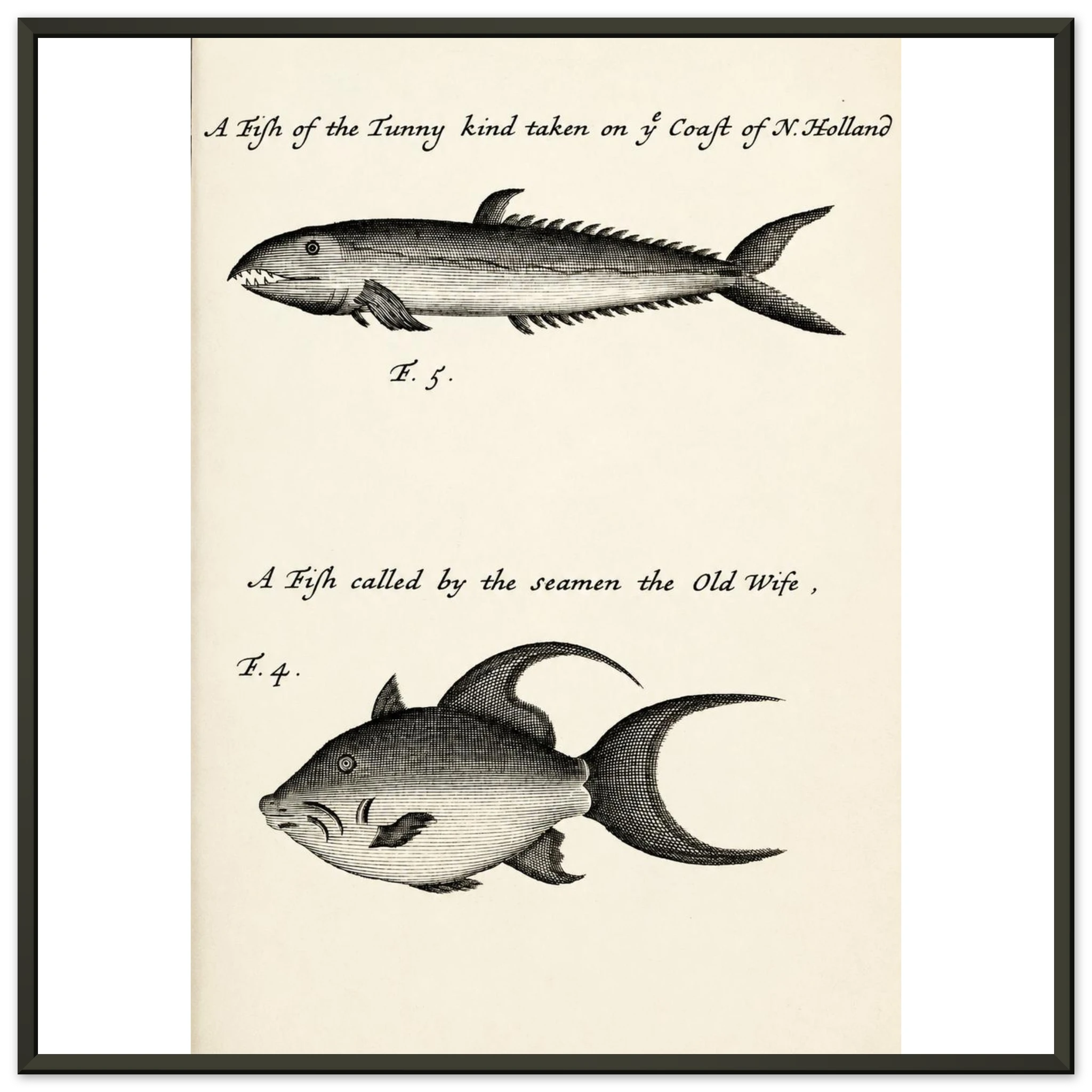 051b4147-c70b-42e9-bb75-ebfa9939a81a