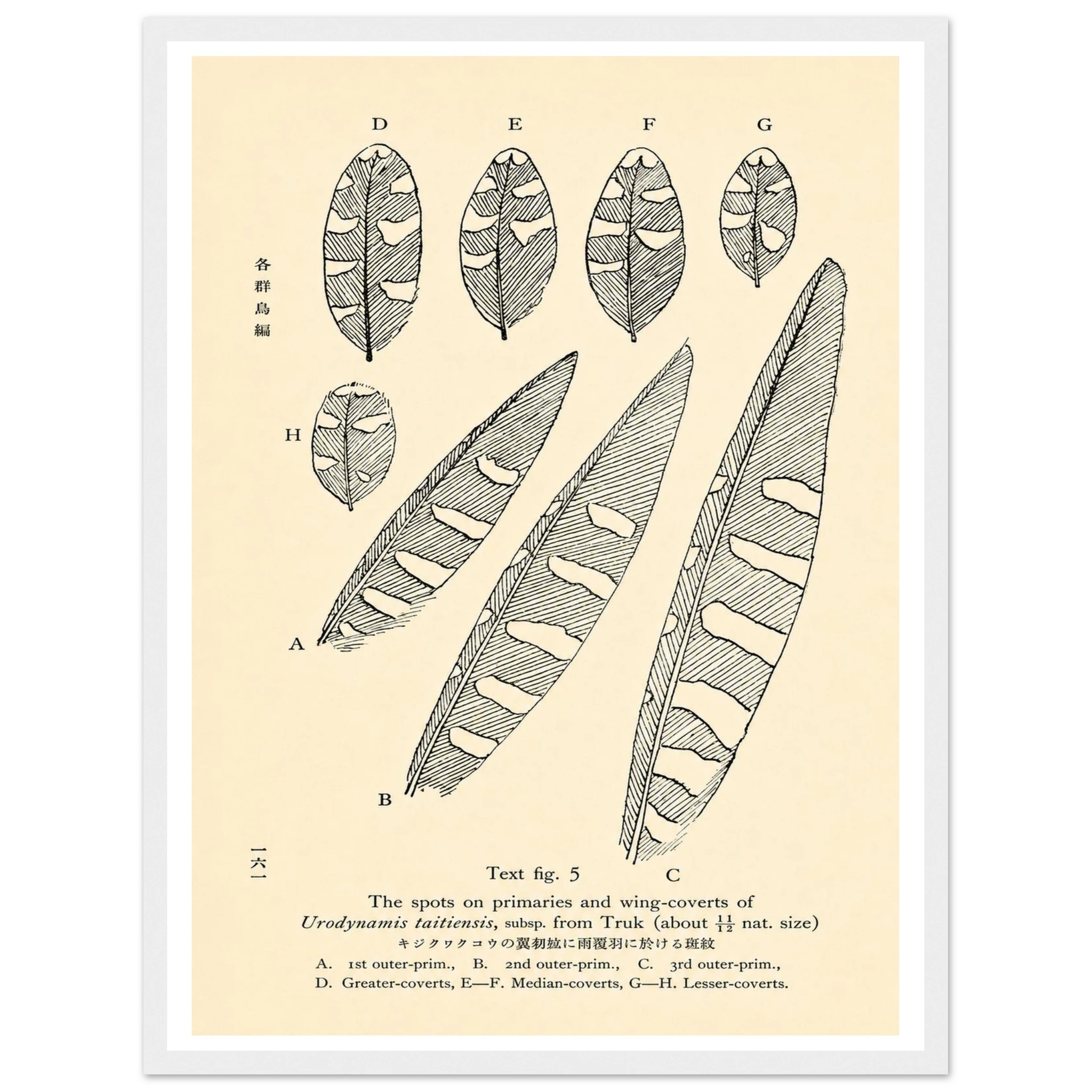 05e21219-9d0f-47d6-b00f-190a4f0cdd5a