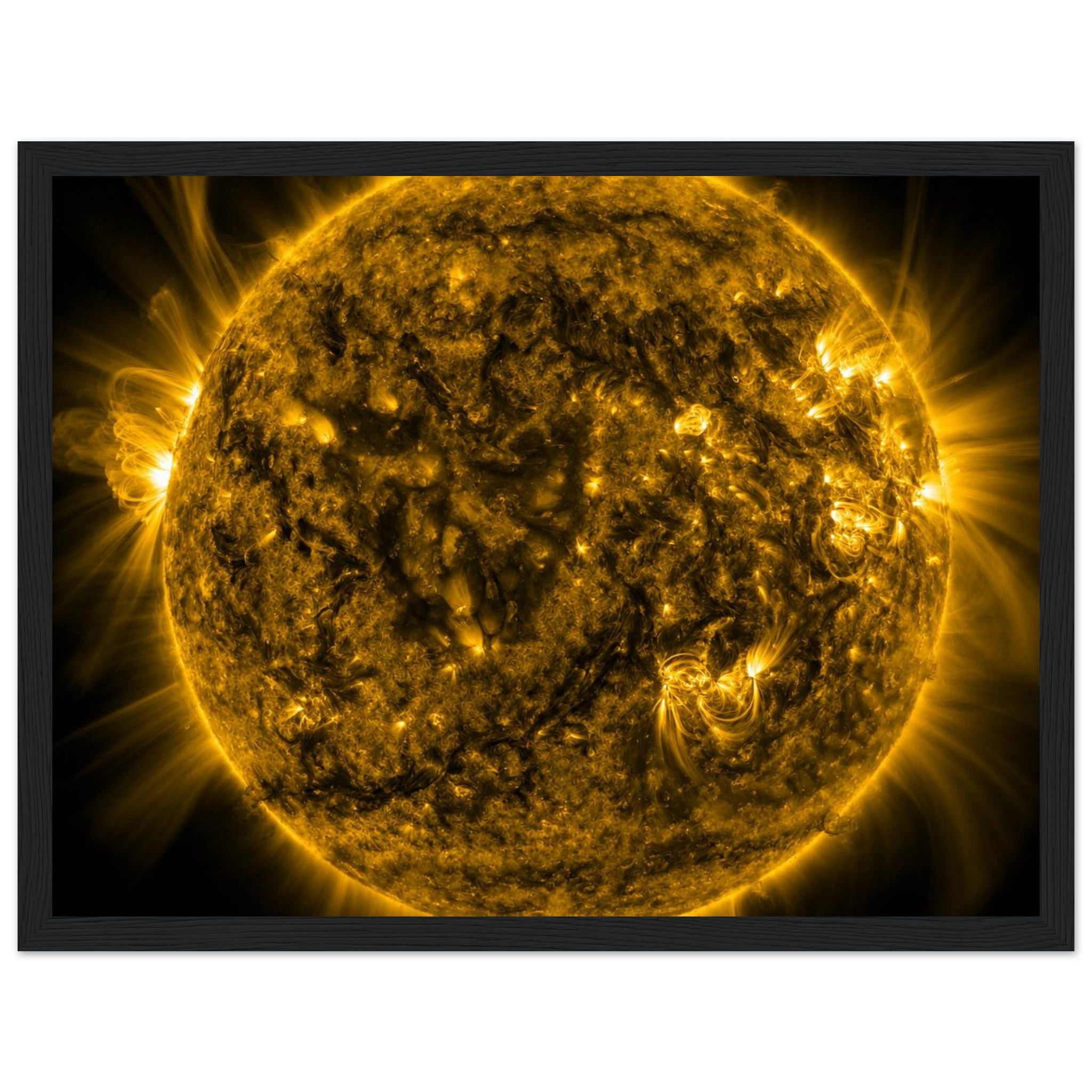 05e6ce54-47bd-4905-9c6c-607b130724f0