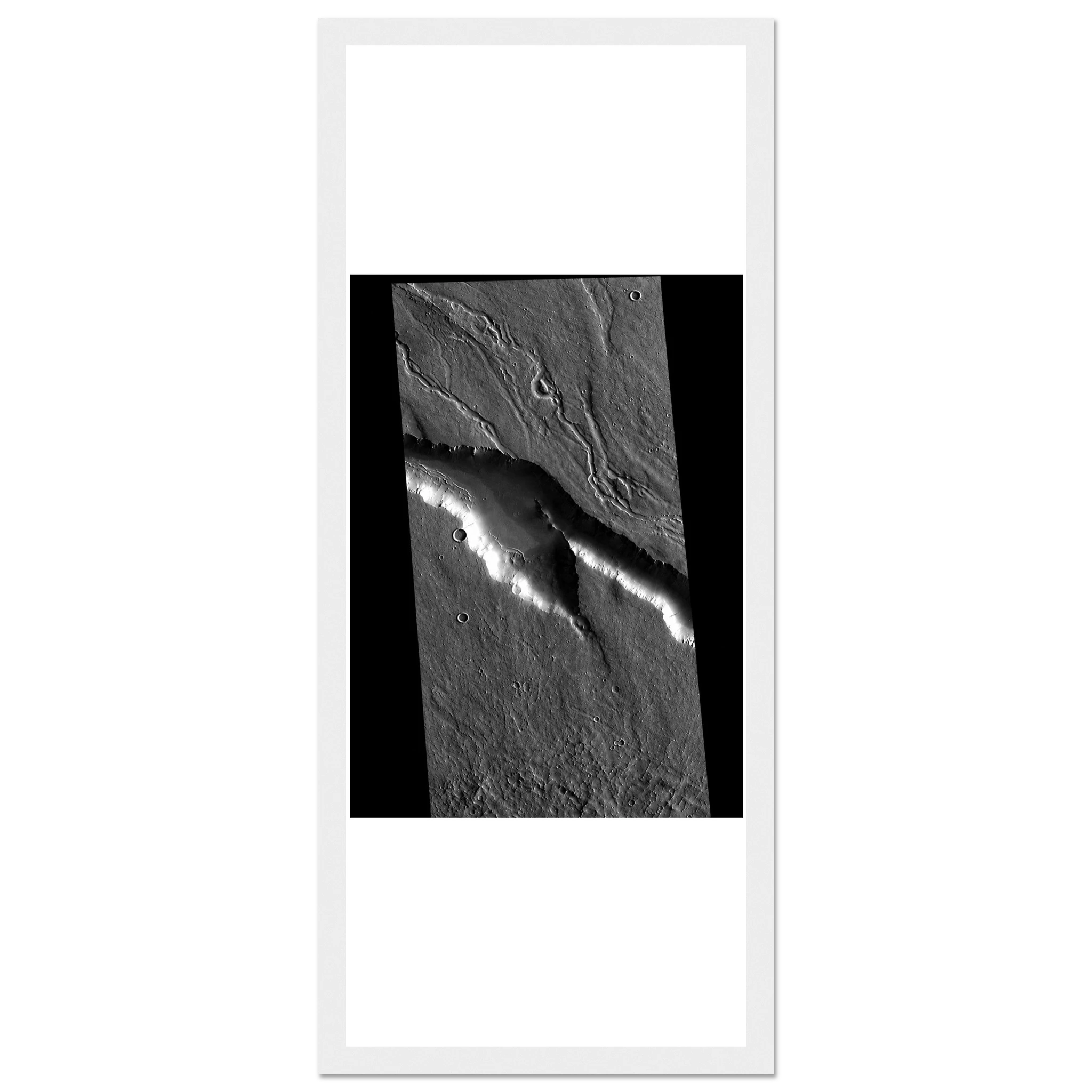 06962a5d-dae4-4e24-b2d0-ad6885e993a1