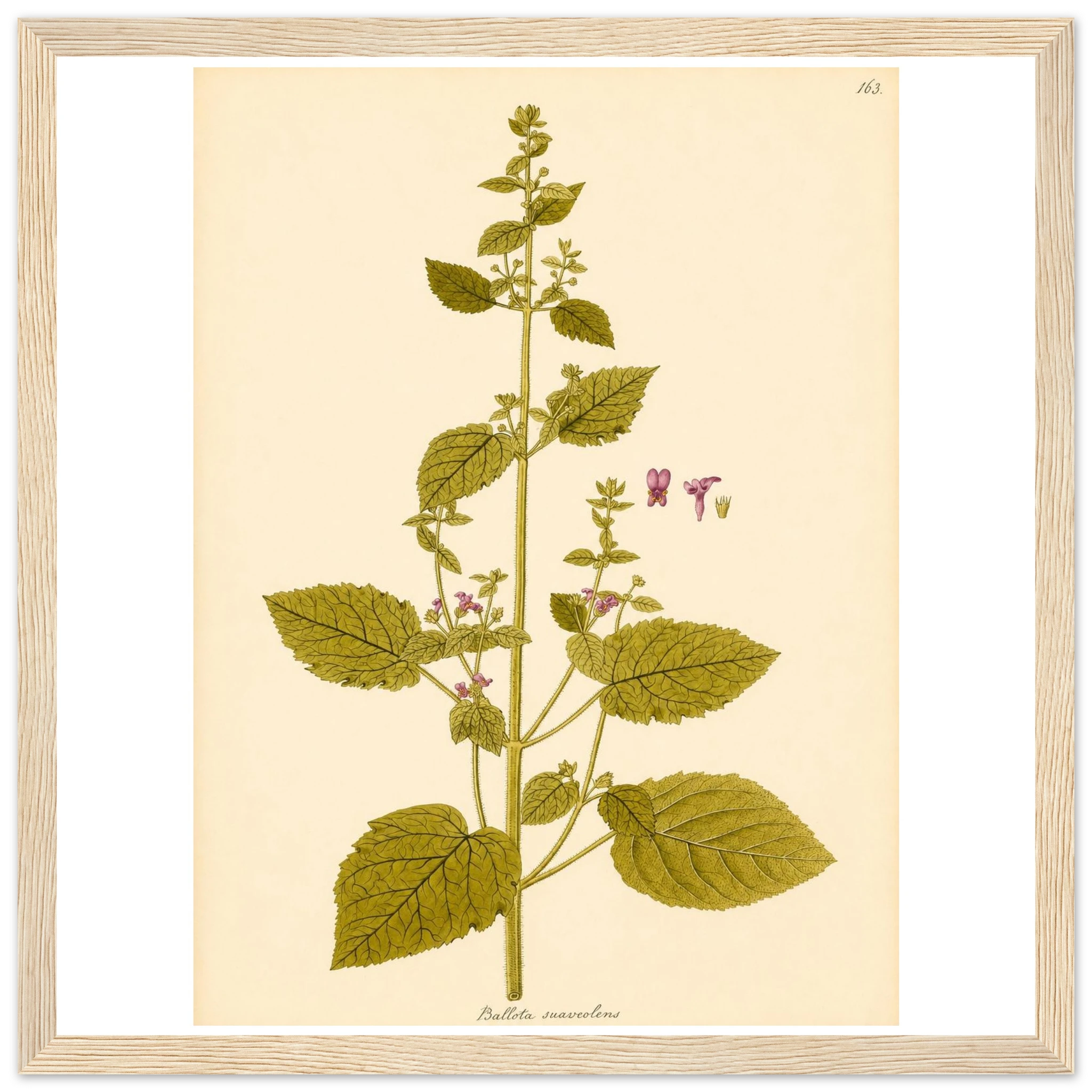 077f1f38-490c-4742-b2cd-36d95c990bd9