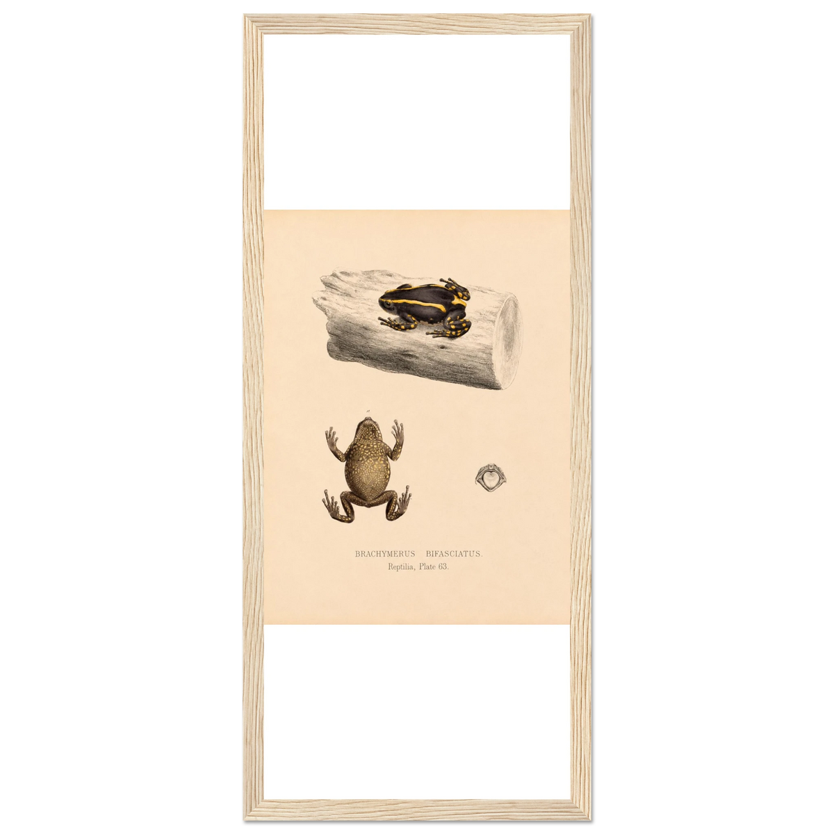 078f79bc-e989-4e70-ae69-b42bbd5ac639