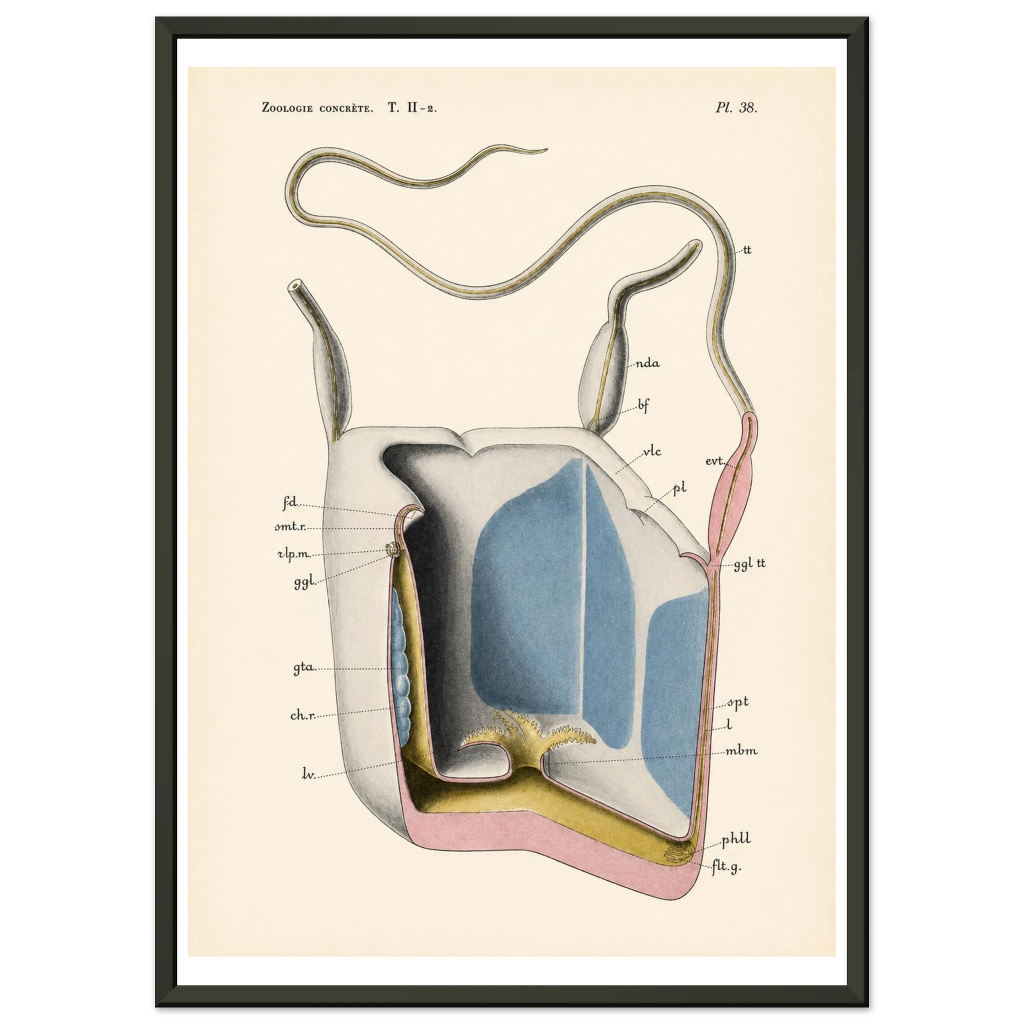 08027f66-811a-4e6b-82b5-b086bd805e3b