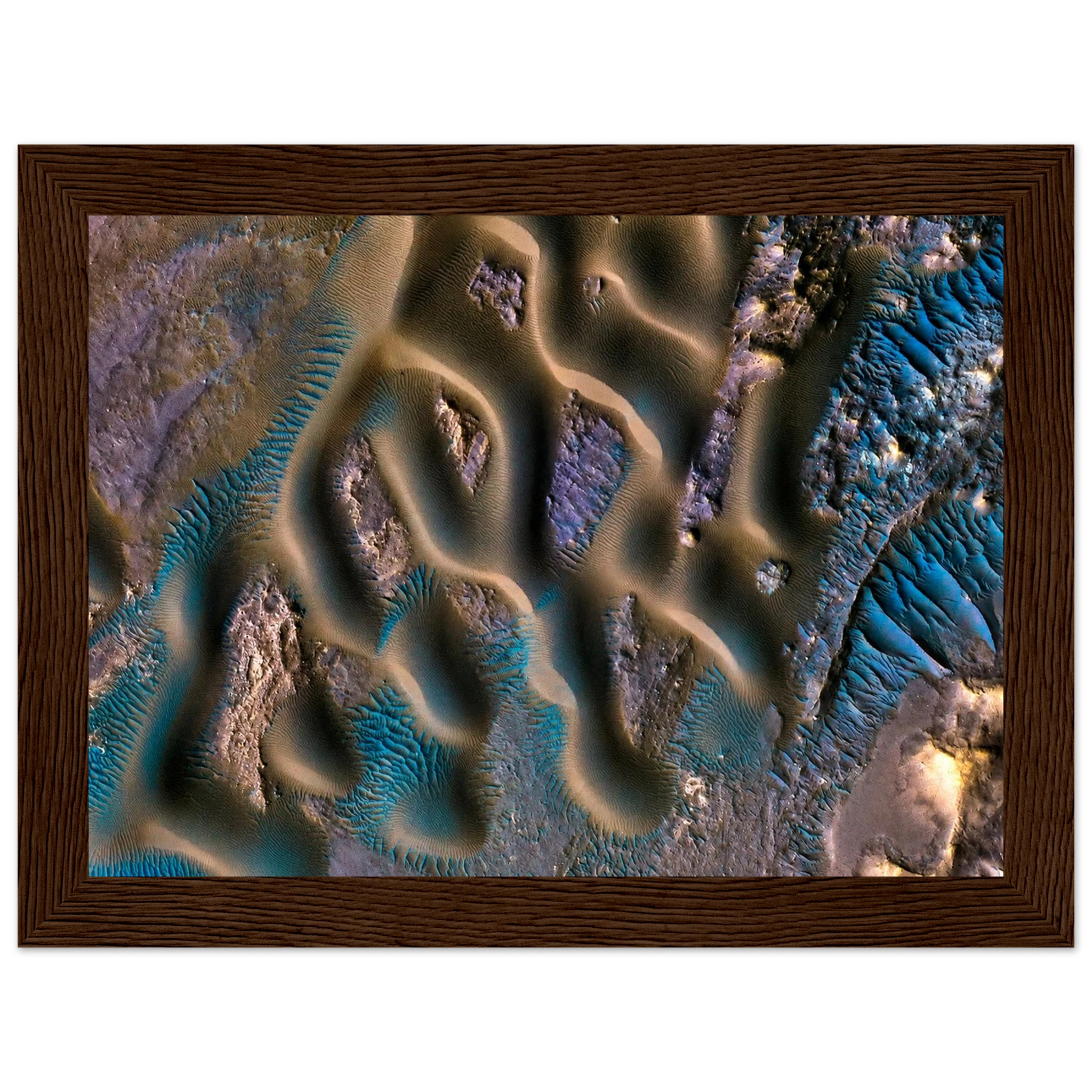 0831c456-d92b-4006-92a5-847544743d93