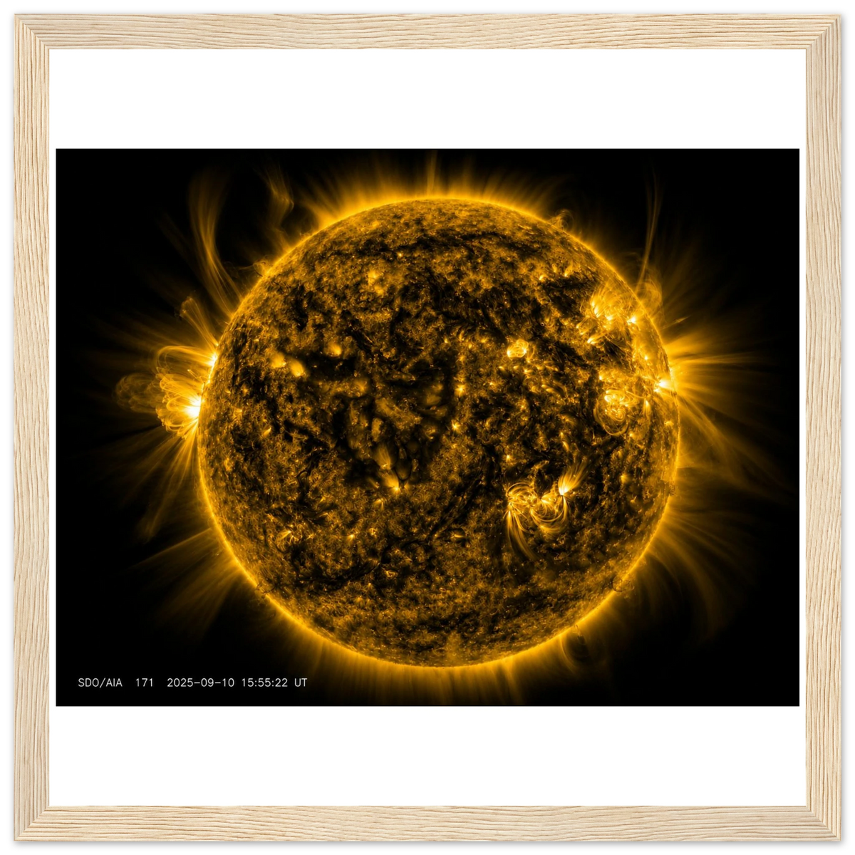08bc24b8-251f-4926-beff-66665a921db7