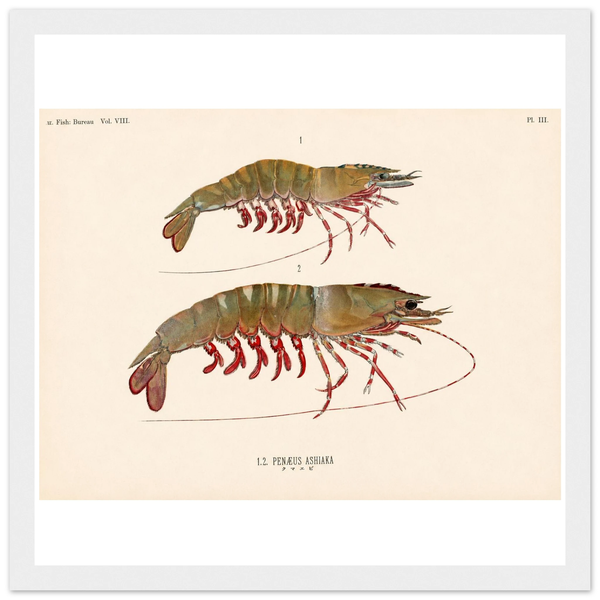 096281bd-6805-448e-b8f4-664a35f8e717