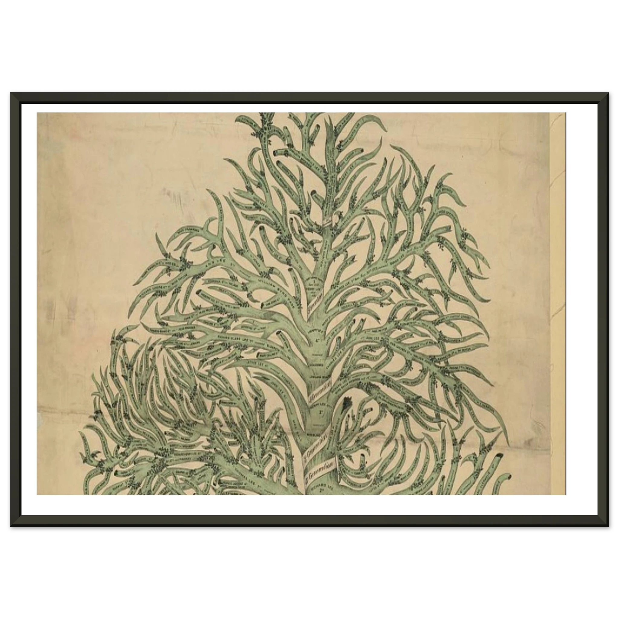 09d81348-f427-46a8-ab4c-cbf20be15b7b