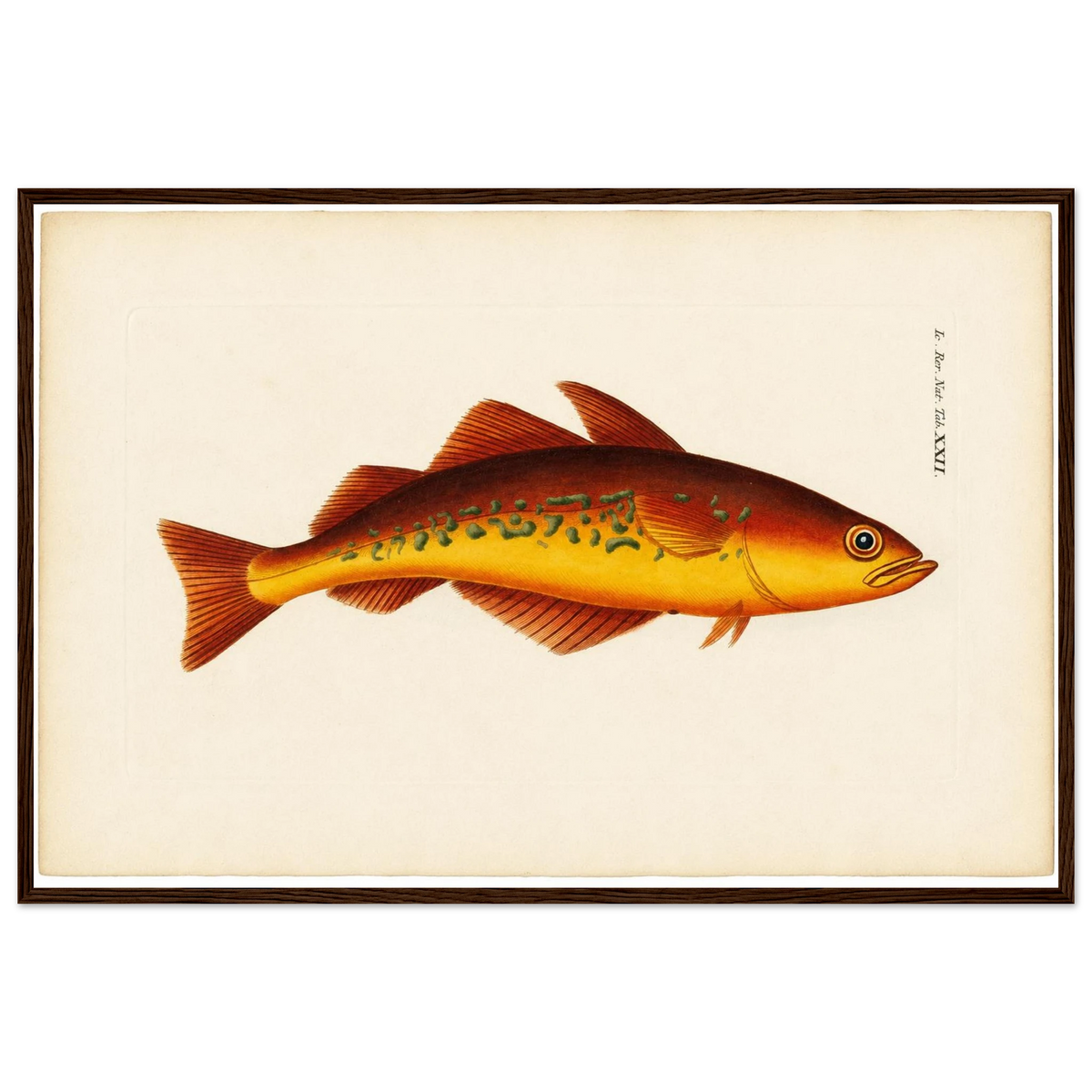0b5b14ba-6ccd-408a-8ebf-1ad8d6ce9f0e
