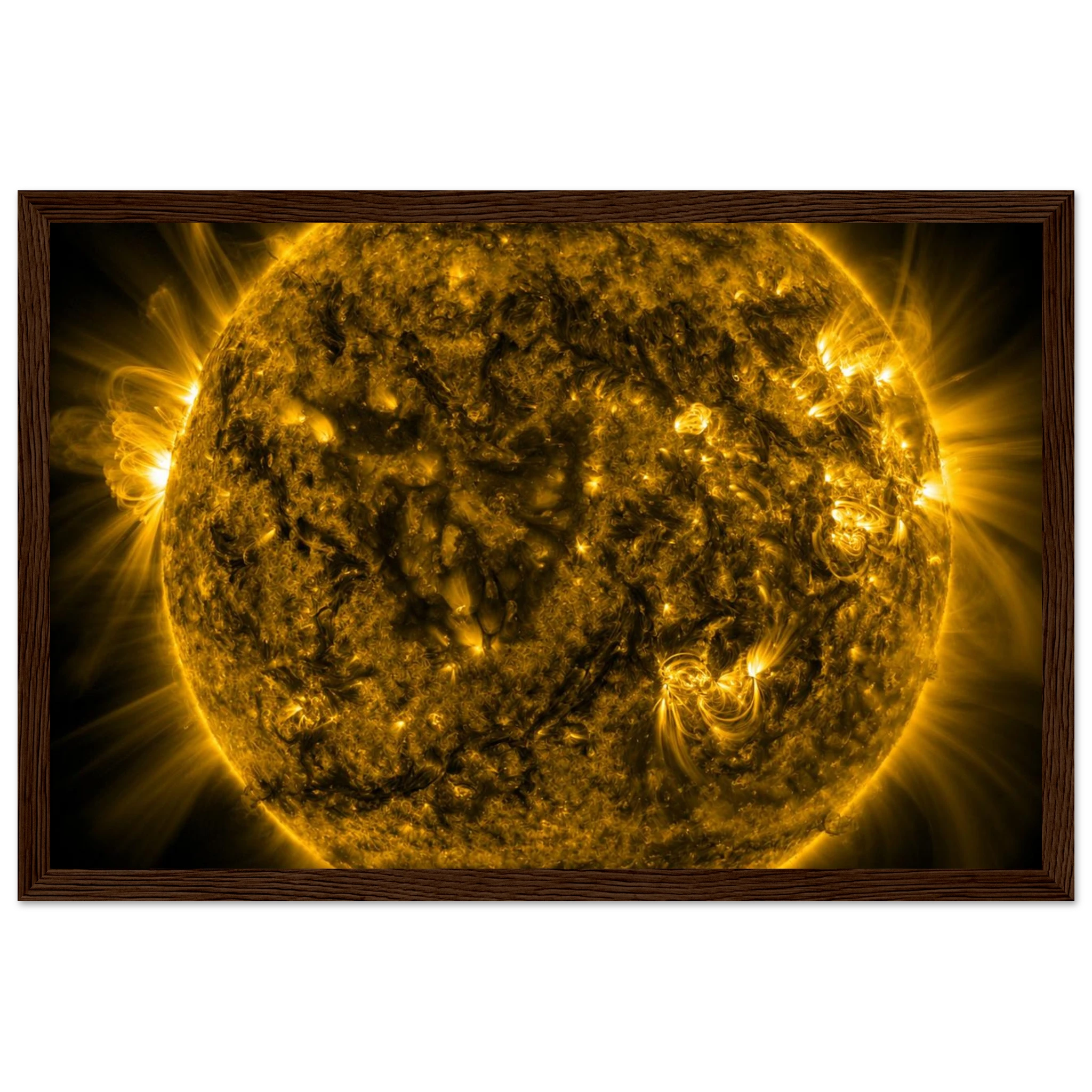 0bccac06-9f58-4429-9476-e8379ee8ceca