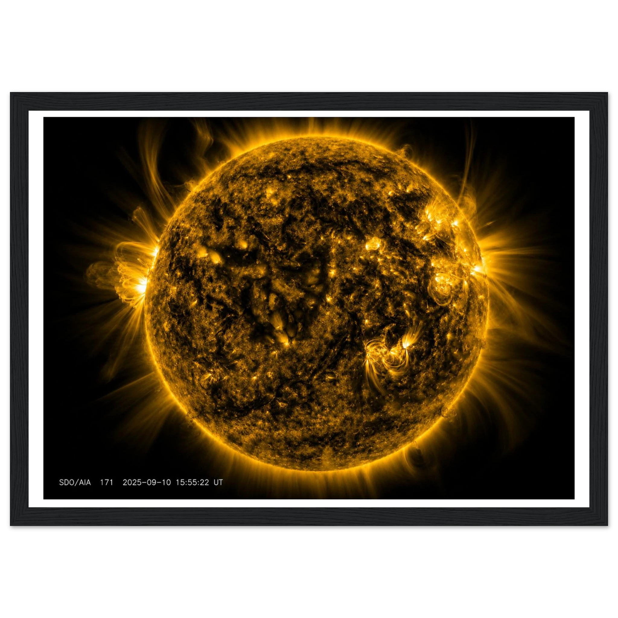 0cd75999-5eeb-4a5c-93b7-fc5a2290df29