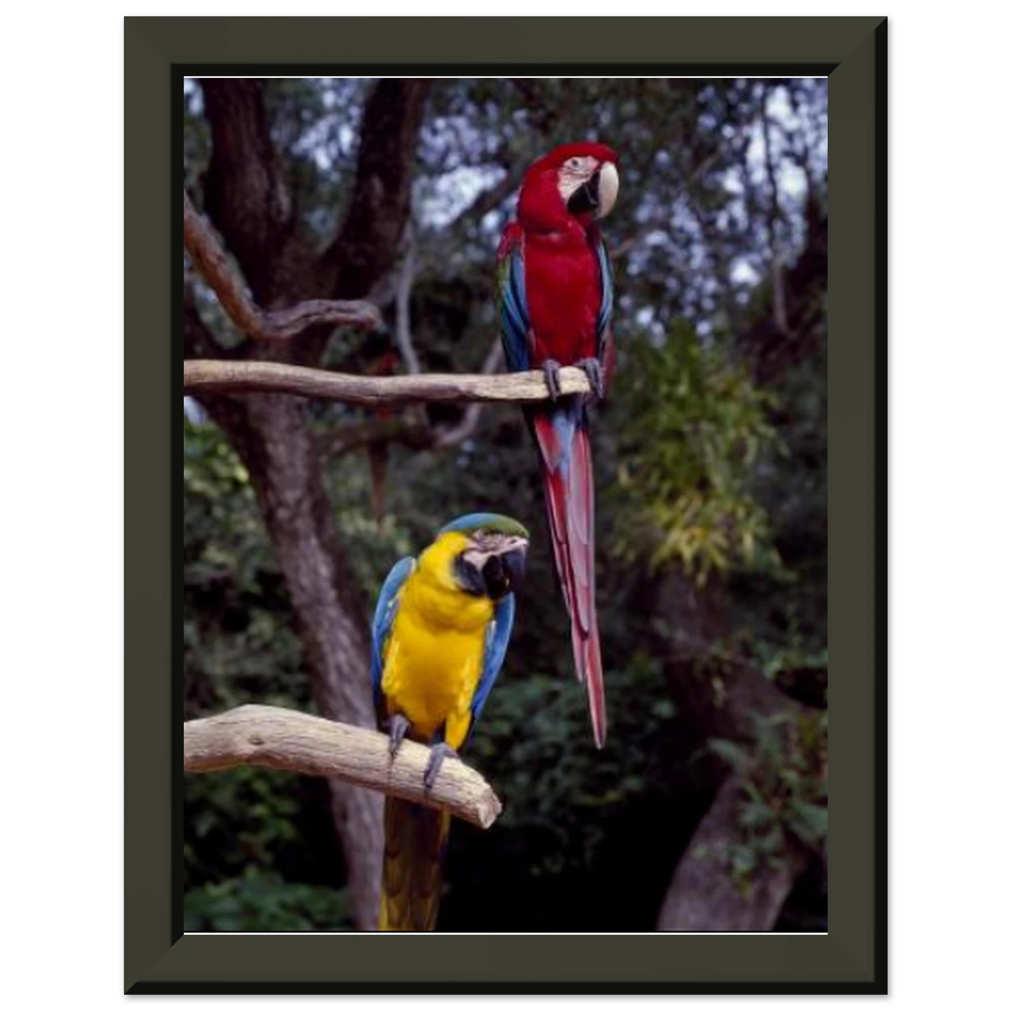 0dc3d7ce-4ad8-4561-b3d8-7785f7f136c3