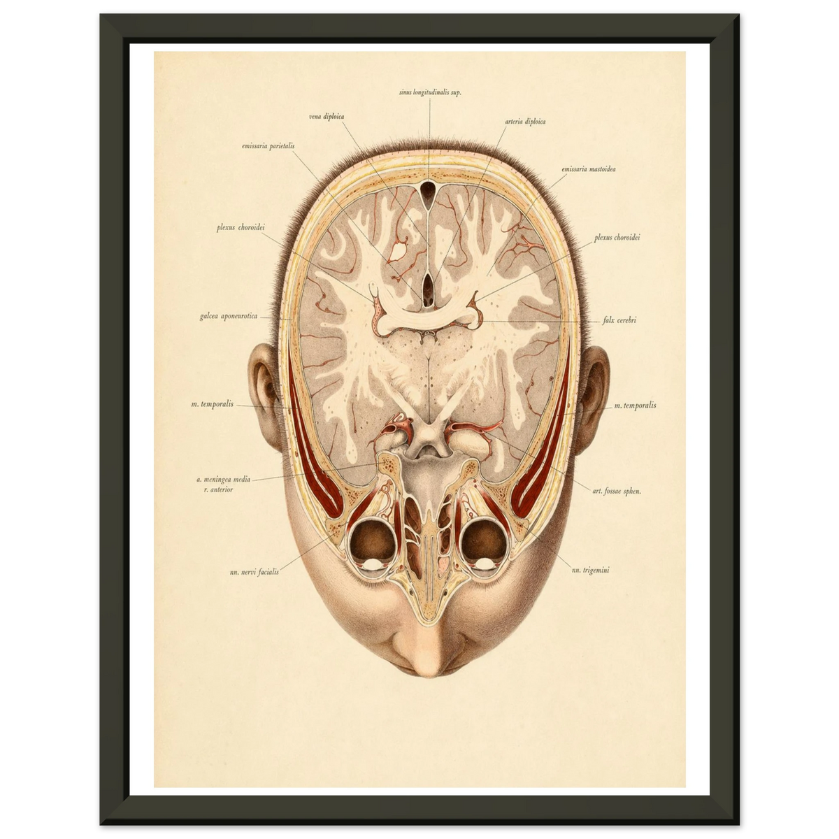 0ecec27a-db7e-4086-8ef8-953e0e933161