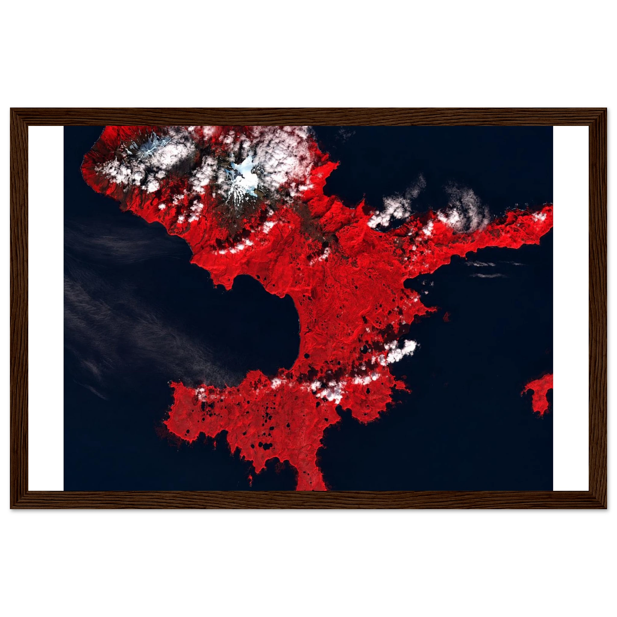 0f9e2c3d-d492-4c04-b076-902c8bf2e4fe