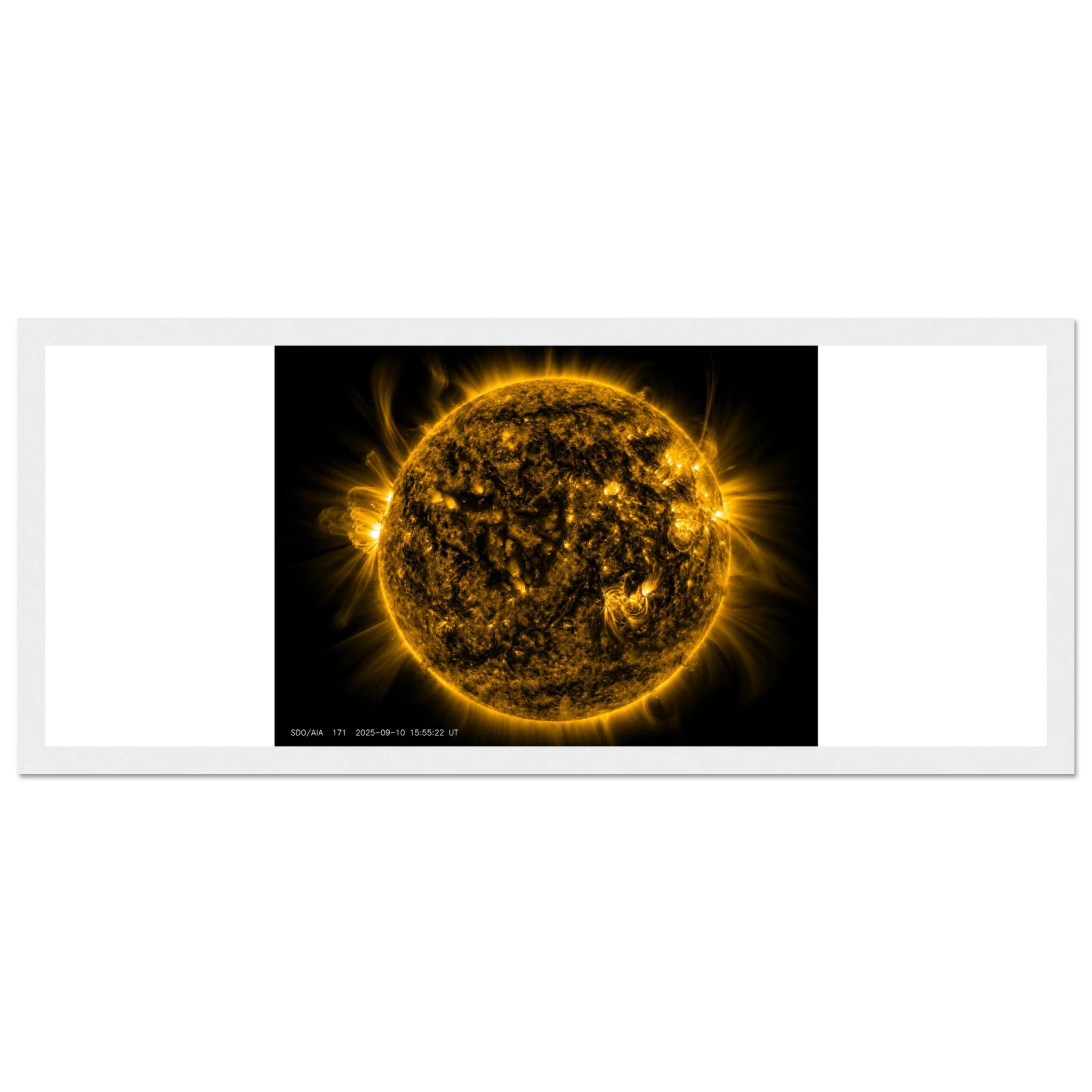 101f5775-28f2-4822-9d87-87021784c8af