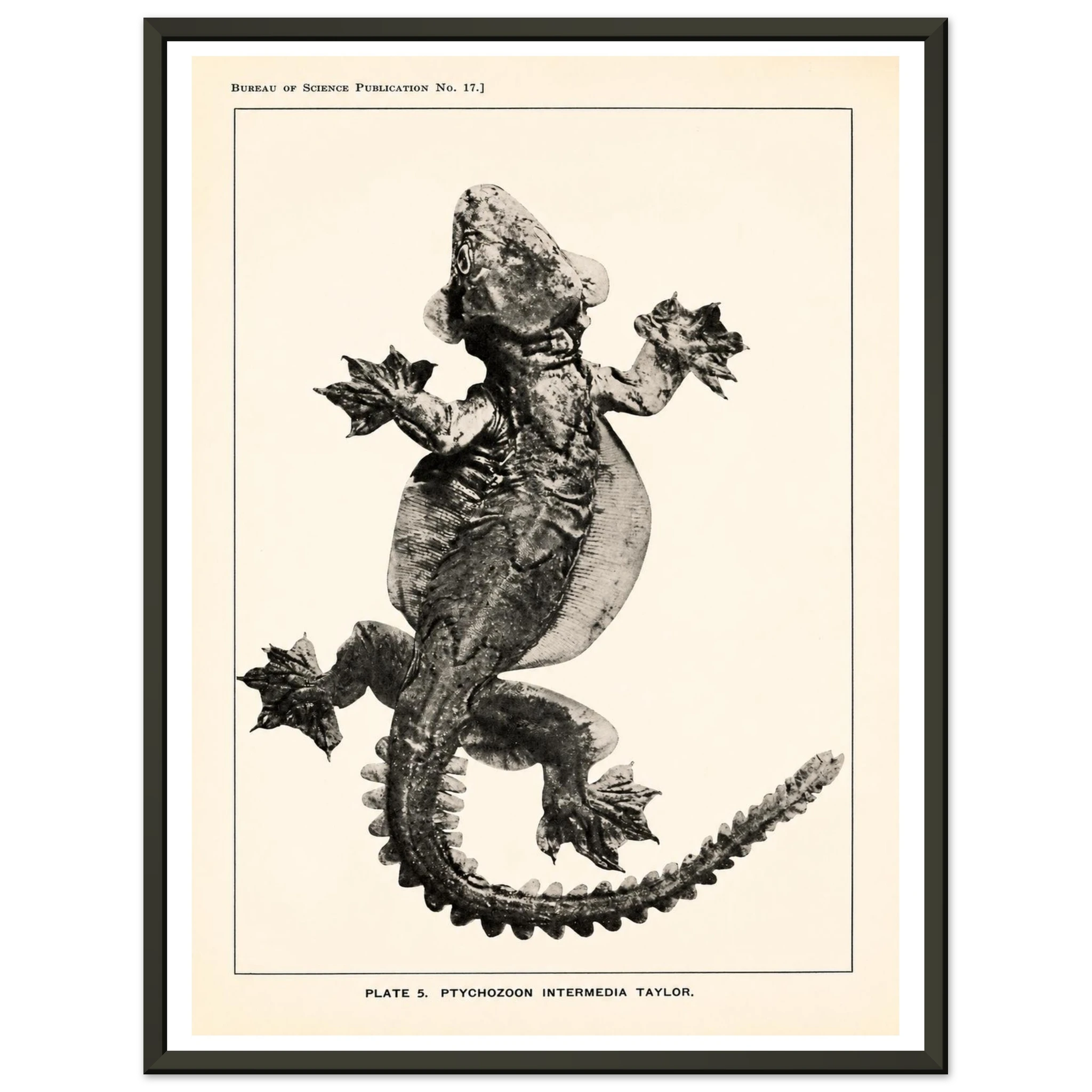1277a8de-ce27-4e0f-be0c-acc0ebbfa7ca