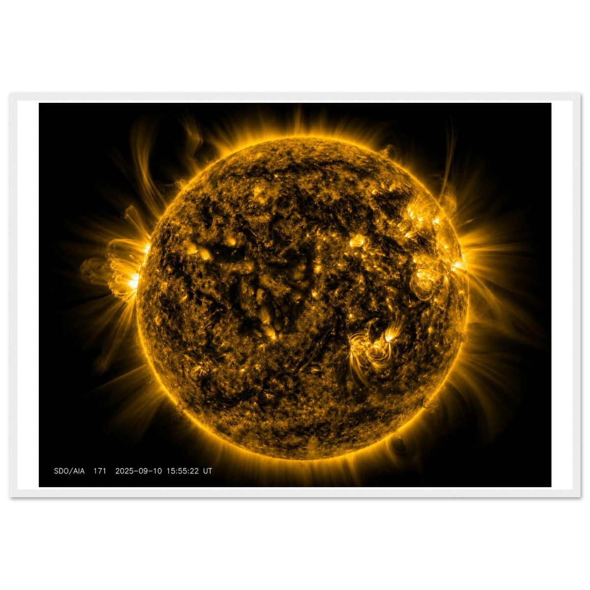 1298f95a-fd71-4909-9a77-0a4491c477fa