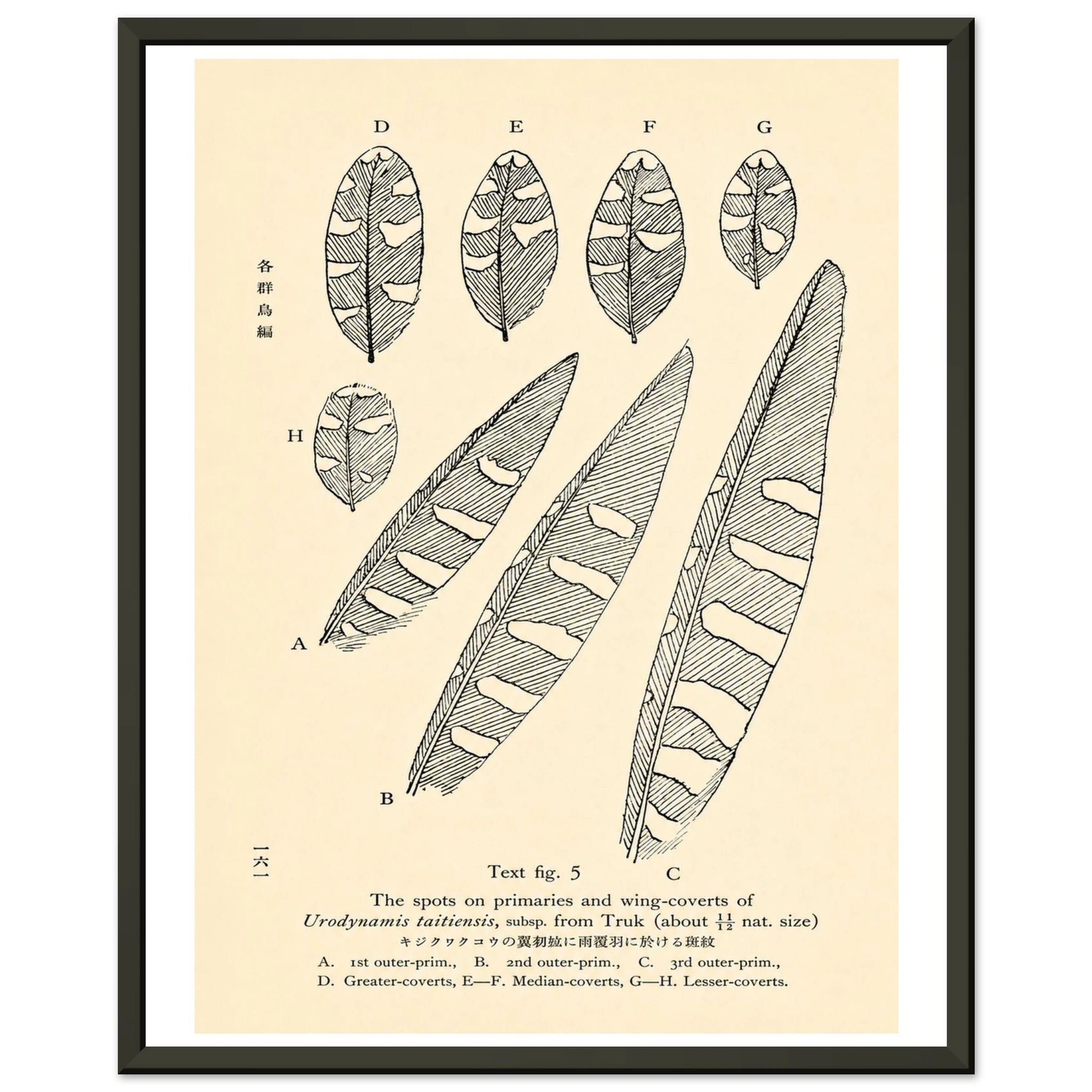 136abd25-80c4-4add-b610-edb11bbe7007
