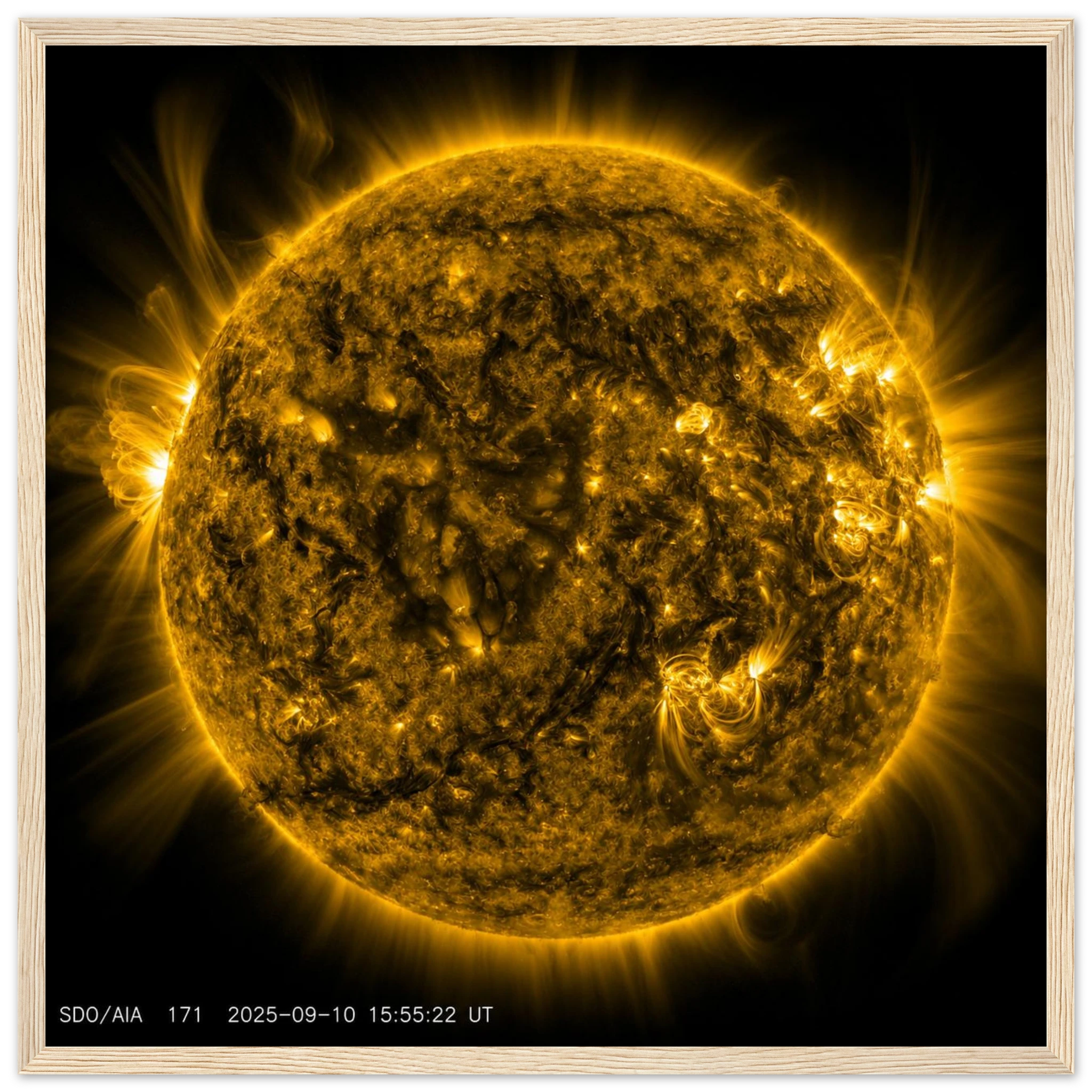 1383b434-cb85-4def-918f-3b29fb54d295