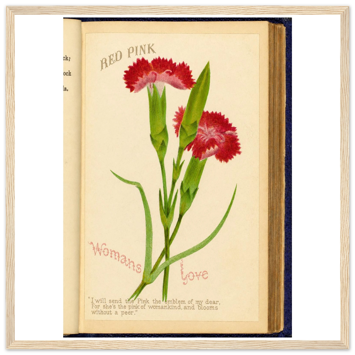 13914ed1-0fb9-40cb-8bb5-1c7037f94f07