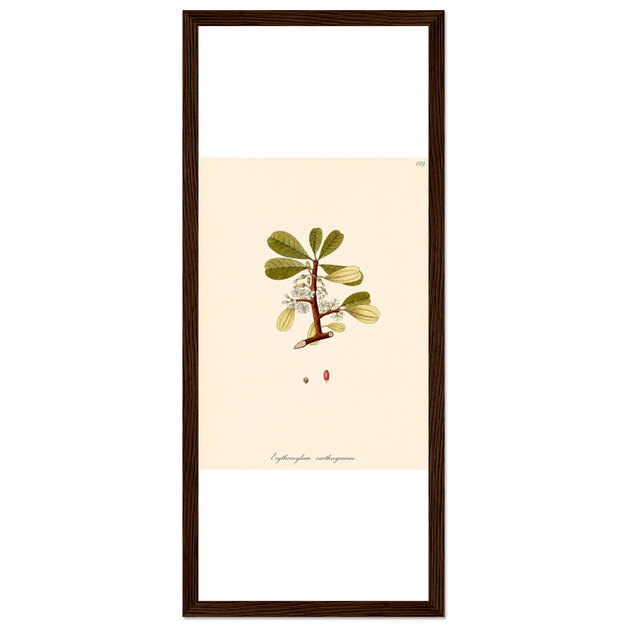 13f657d0-623d-4f68-86d1-2386ef5379ec