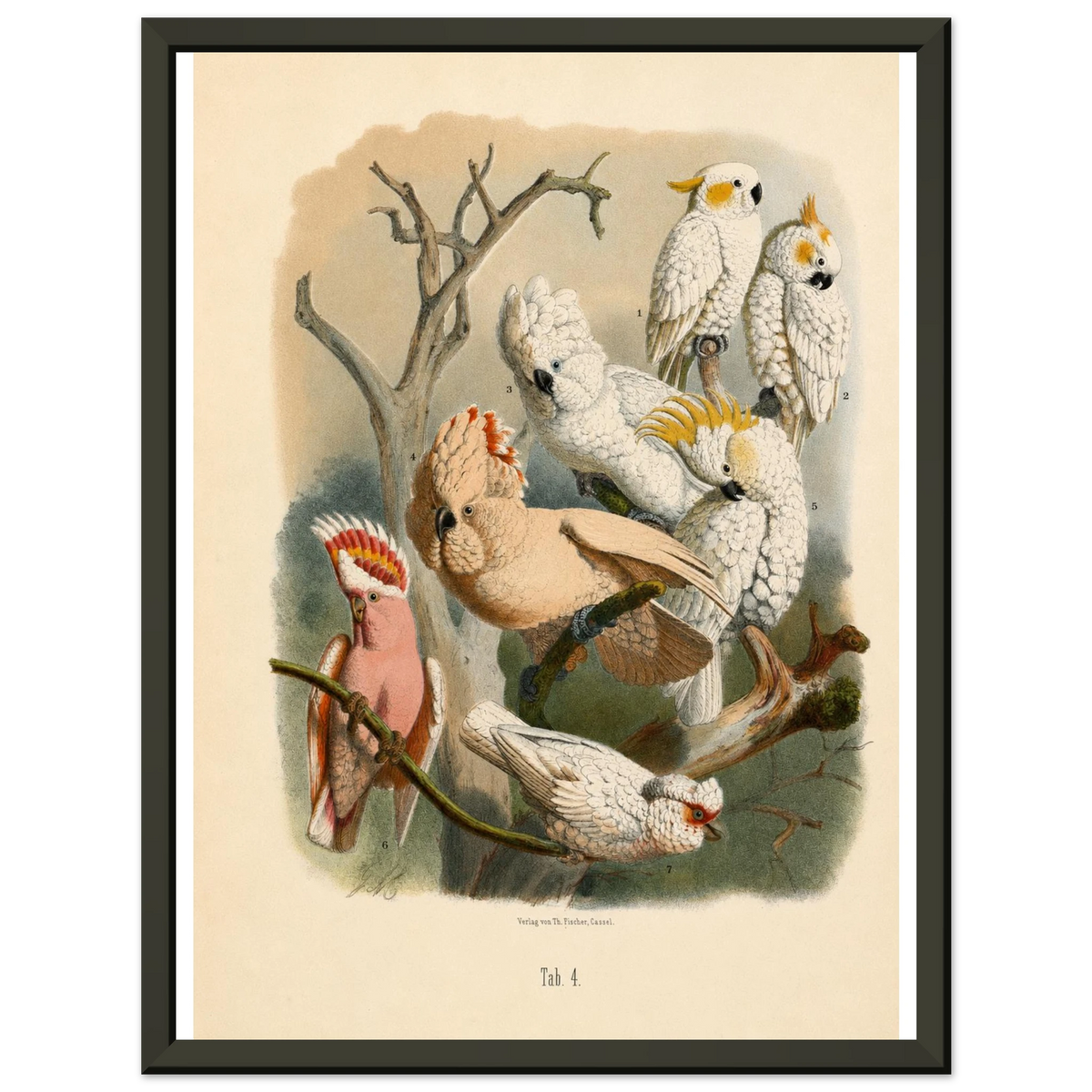 14c922e2-1818-4c4e-be70-2ac988e0e030