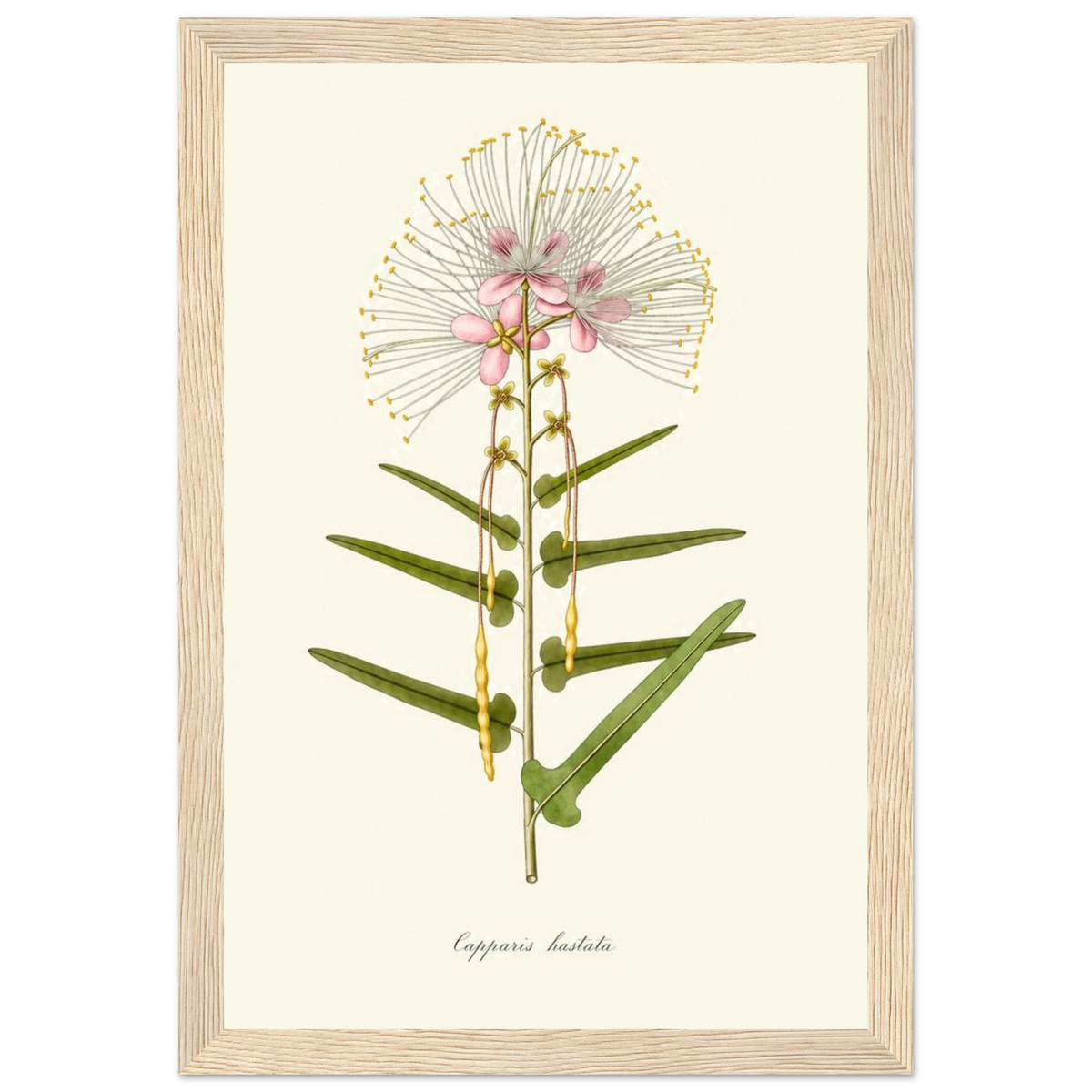 14e75115-33b2-4d18-9842-fca5753024ed