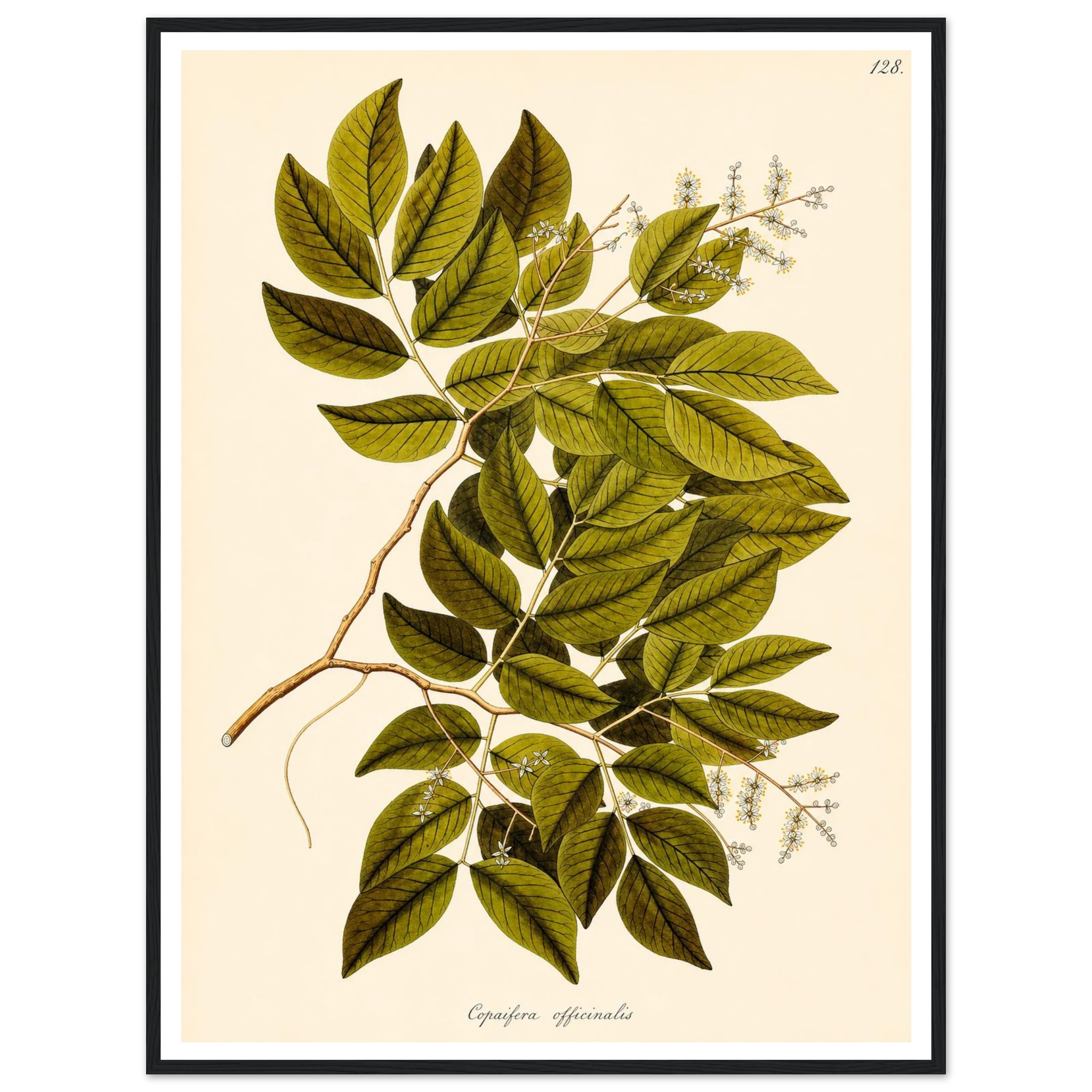 1506c6ce-2b95-4b70-aeb7-2638352cb8c7