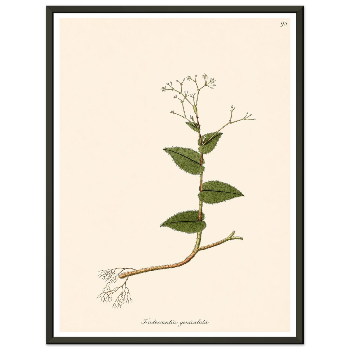15bf88b6-58ab-472b-bff9-063ec0b6a9b7