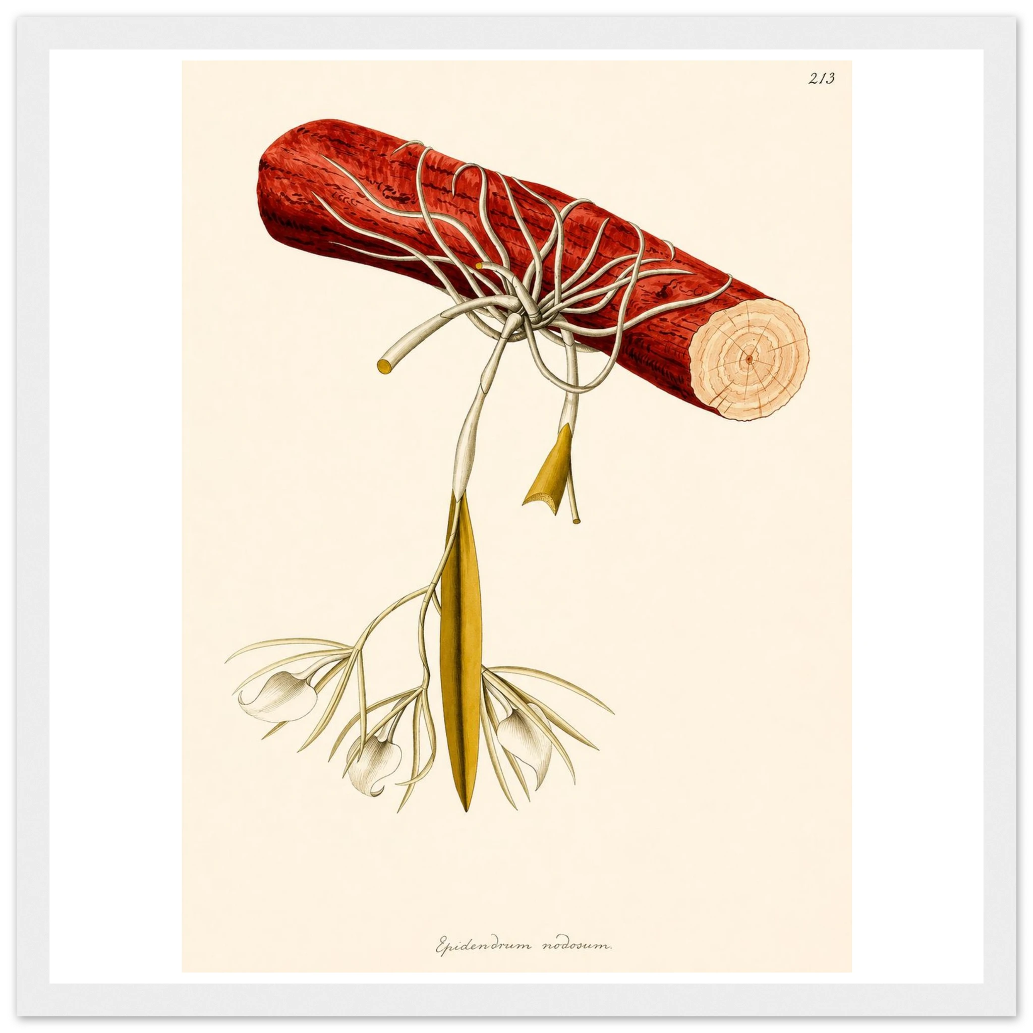 15f94f38-faa6-4040-b4c4-edfd6086fd08